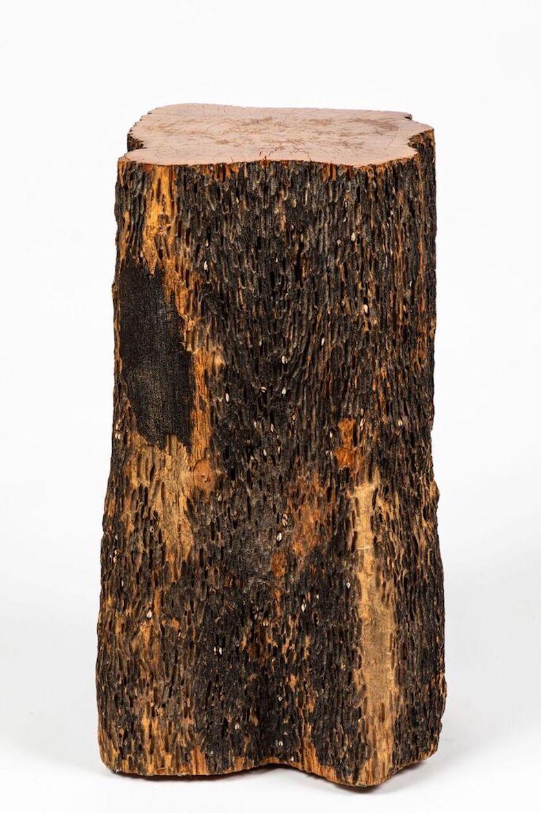 Other Tree Trunk Stool & Side Table