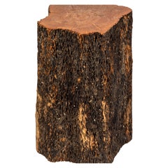 Tabouret et table d'appoint en forme de tronc d'arbre
