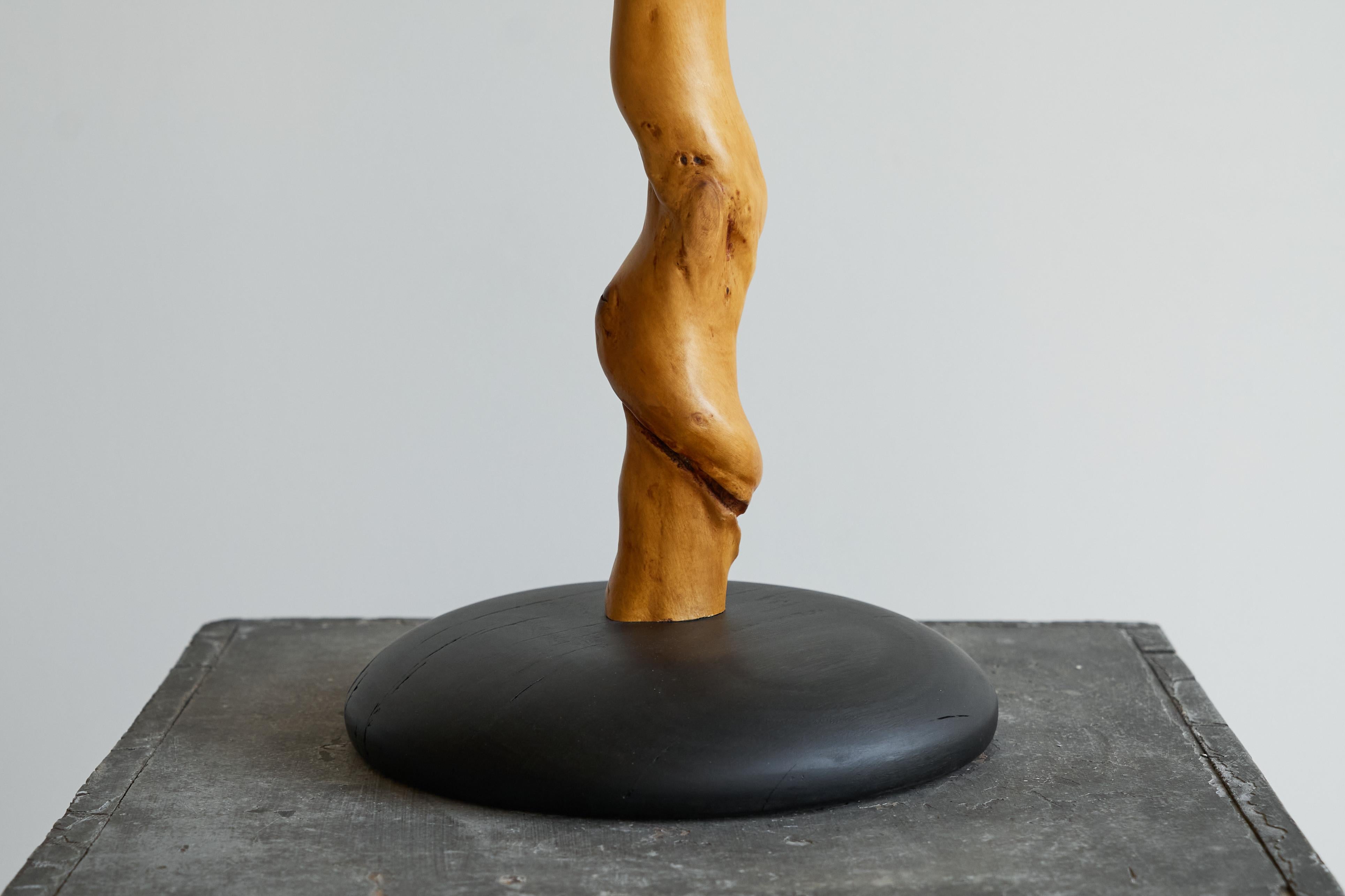 Mid-Century Modern Tree Trunk Table Lamp in Acacia and Oak 1950s For Sale