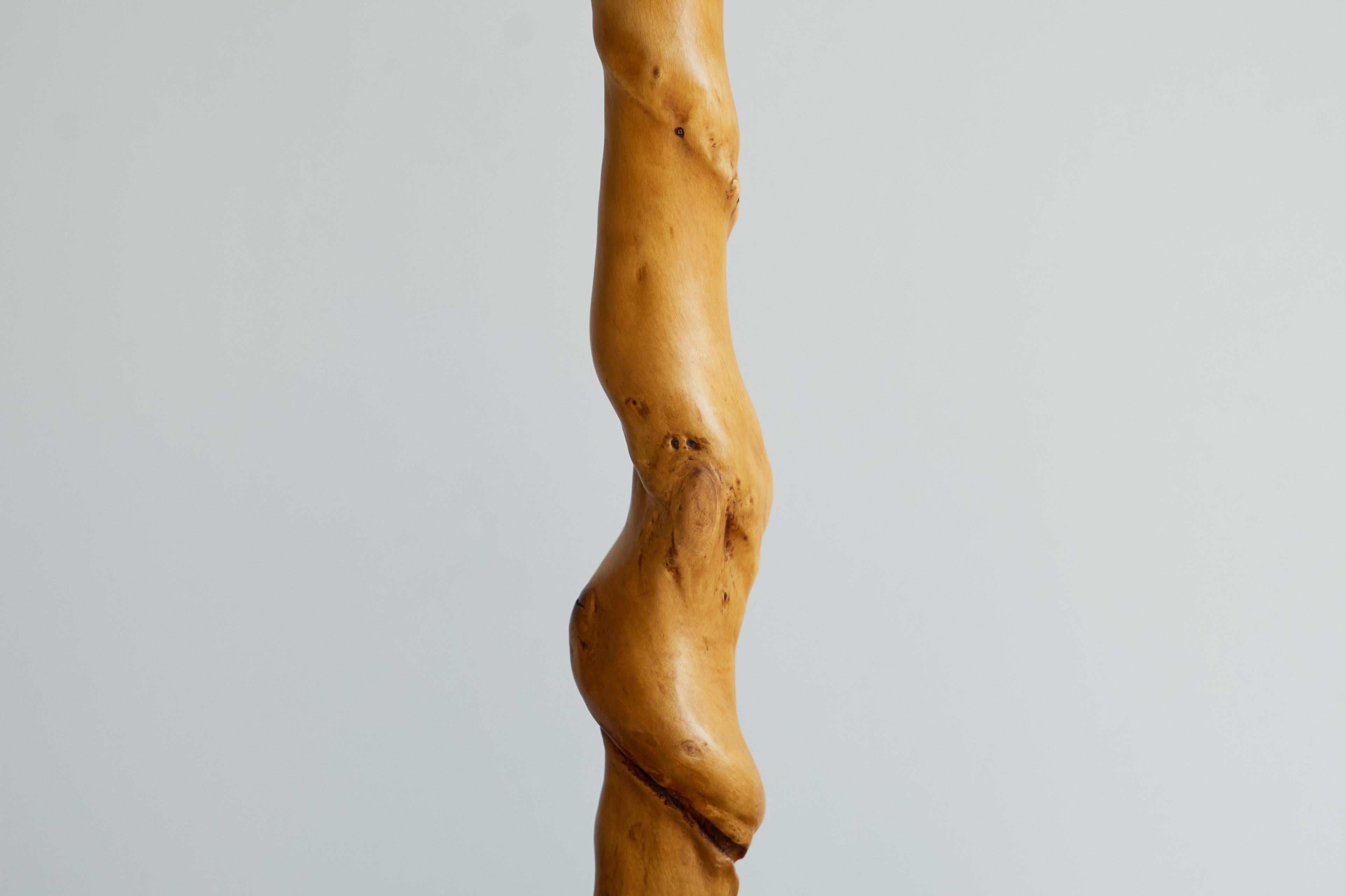 European Tree Trunk Table Lamp in Acacia and Oak 1950s For Sale