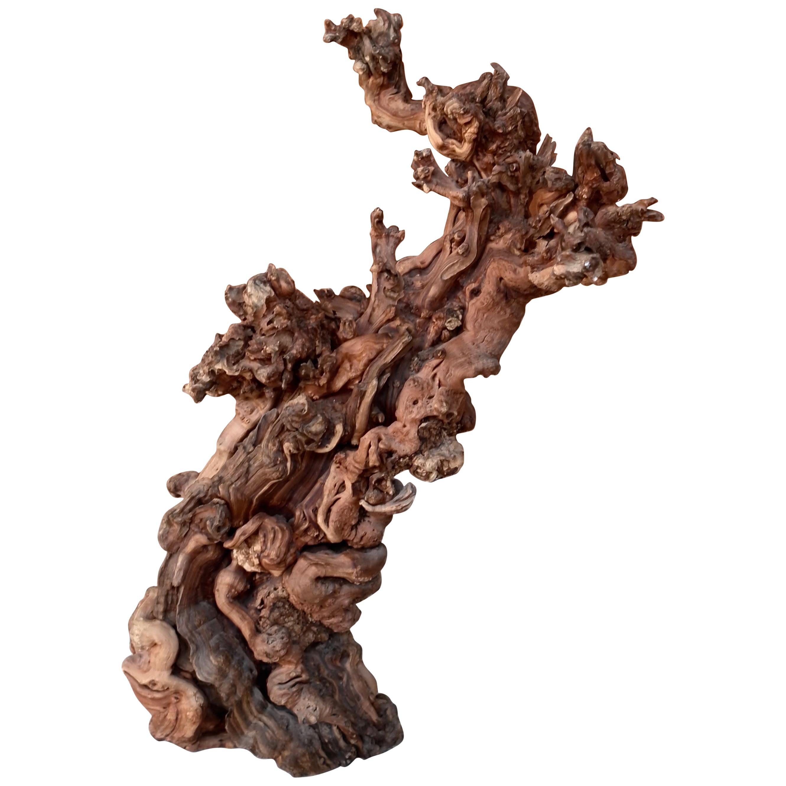 Treebeard Natural Wood Sculpture