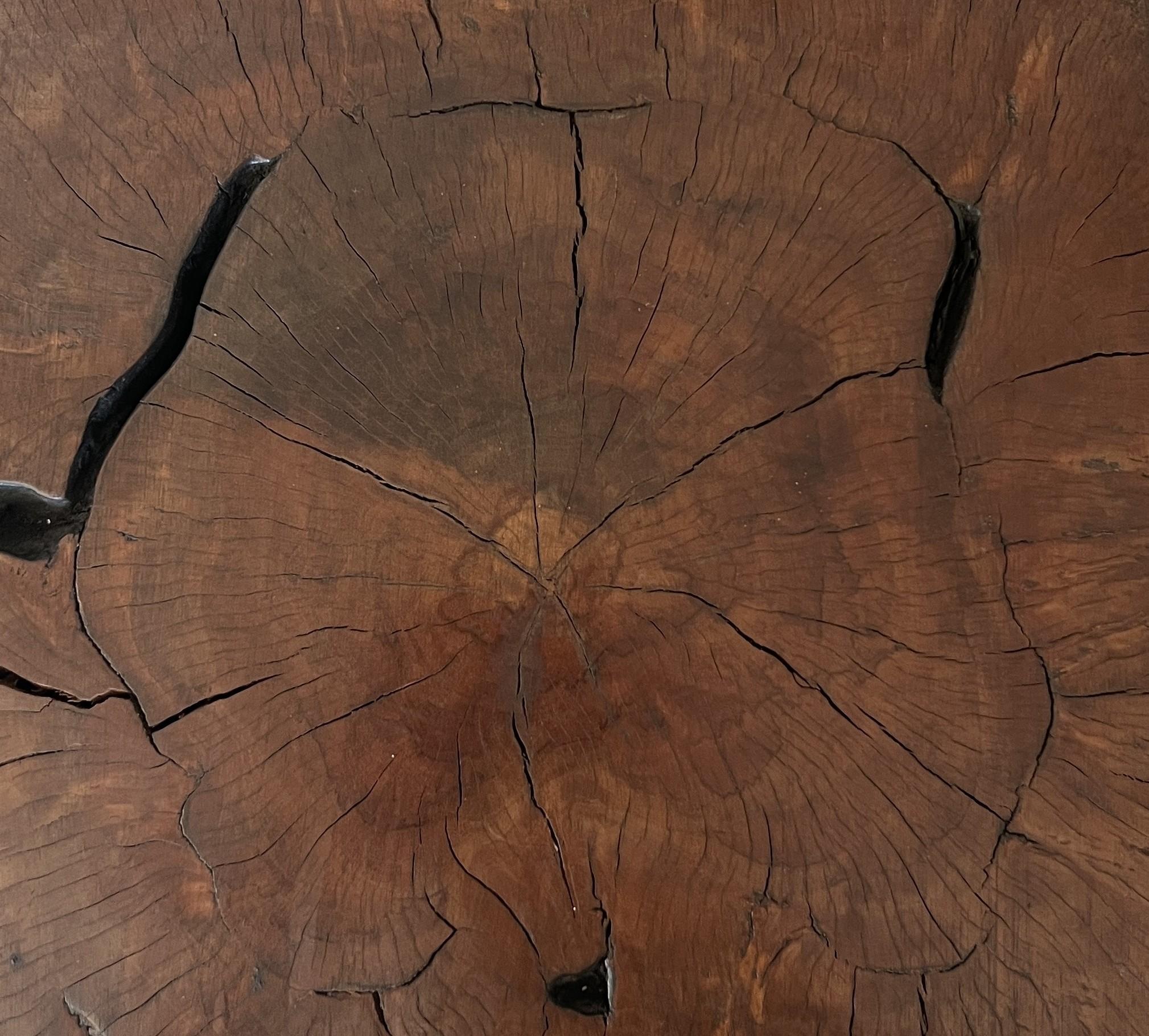 Table latérale organique Treestump Neuf - En vente à Vosselaar, BE