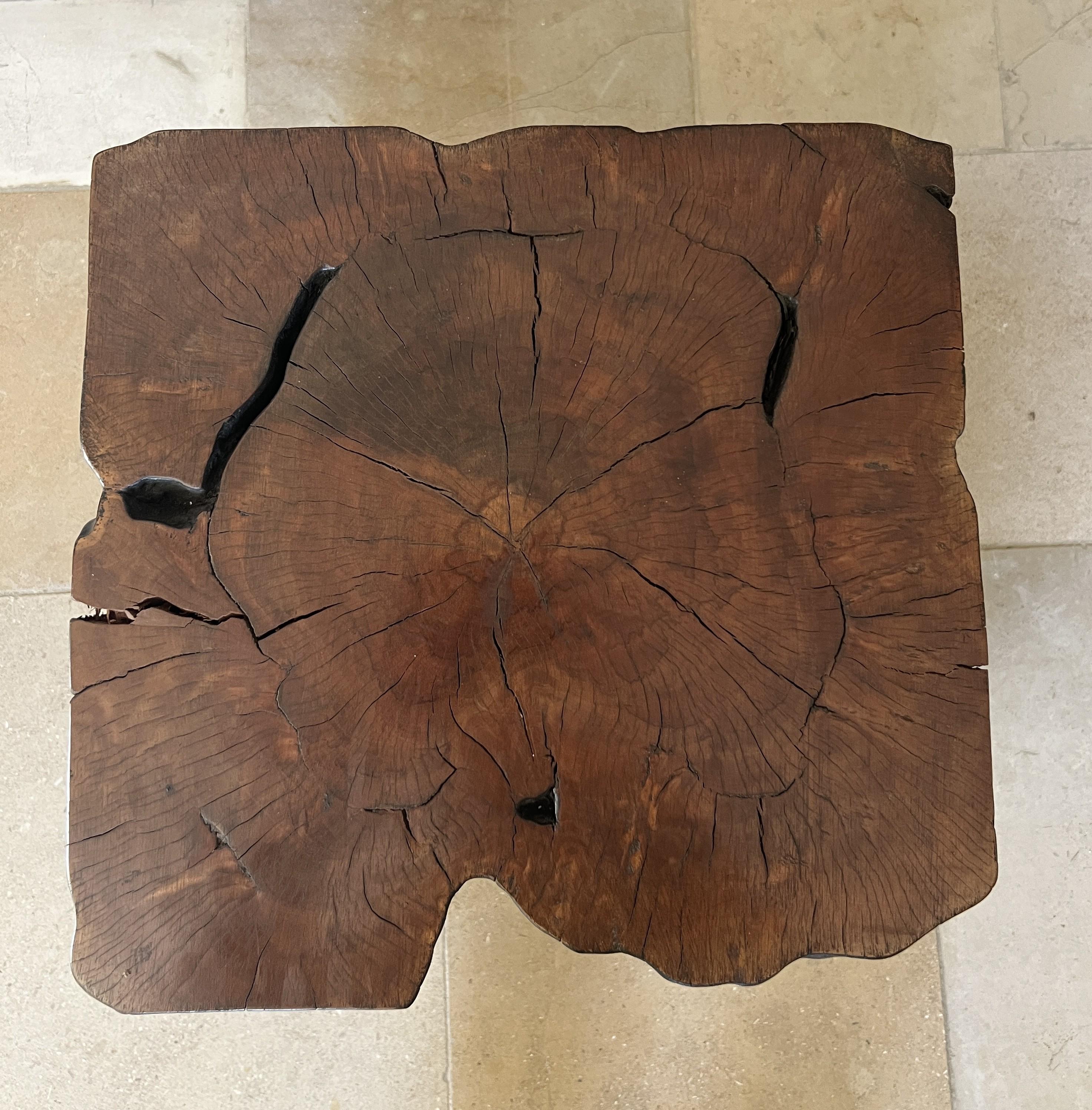 XXIe siècle et contemporain Table latérale organique Treestump en vente