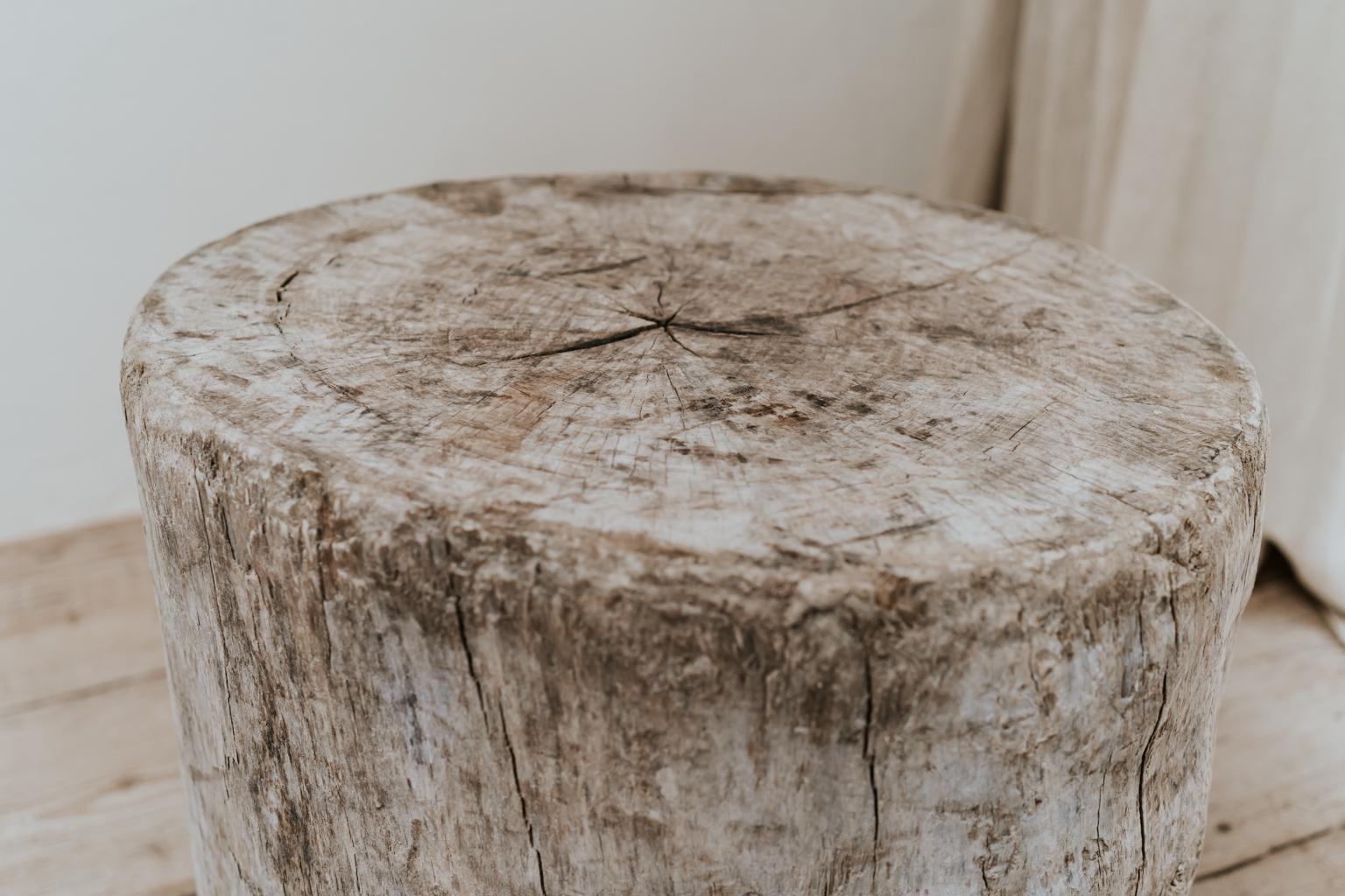 Elm Treetrunk or Stump Table on Wheels