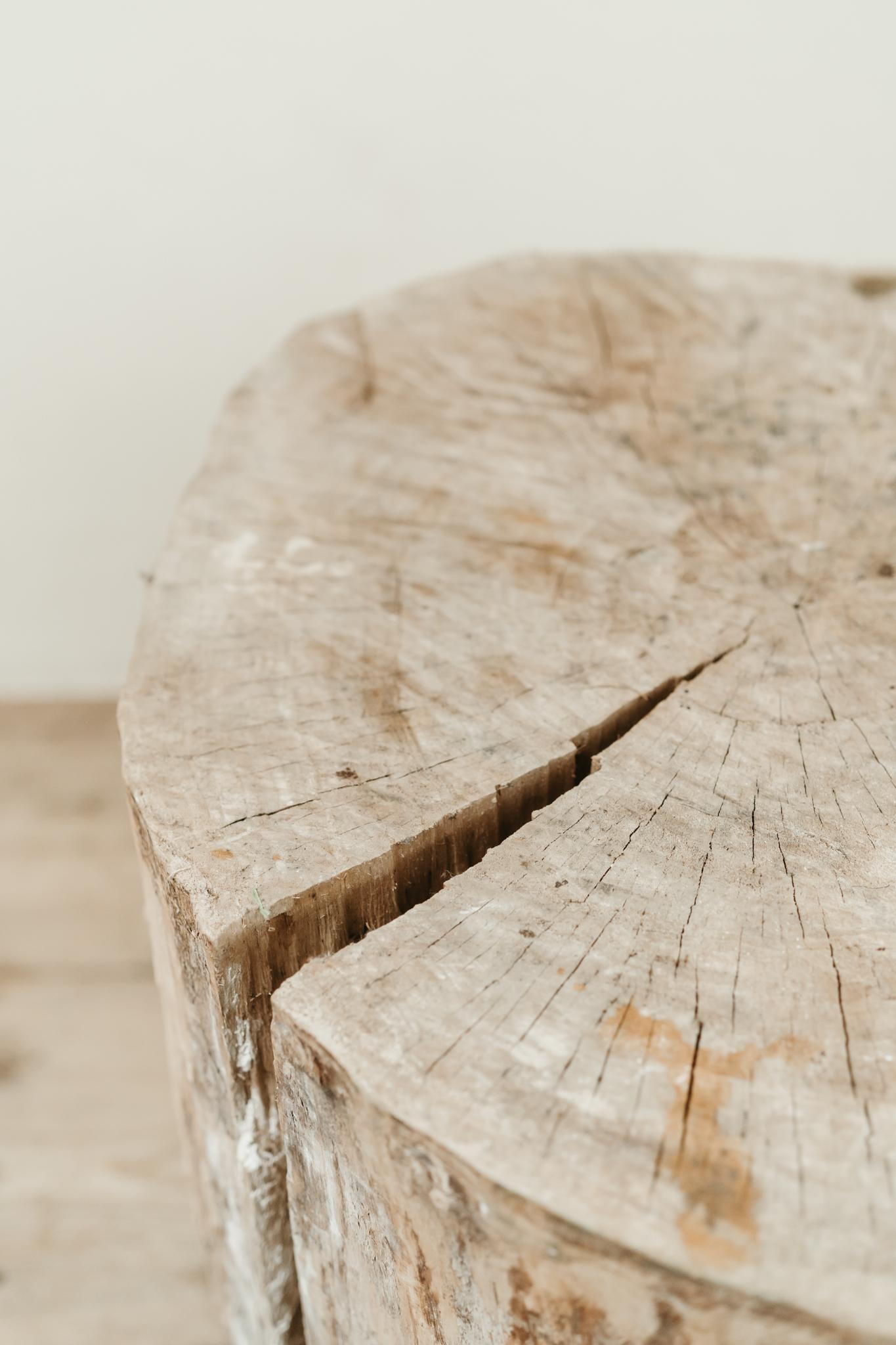 treetrunk table on wheels ... For Sale 6