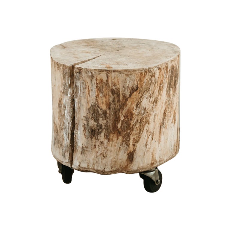 treetrunk table on wheels ...