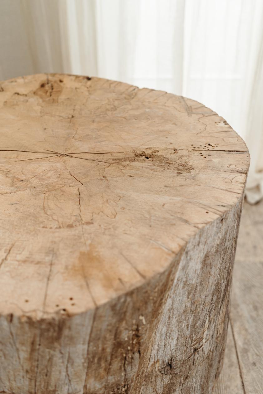 Tree Trunk-Tisch auf Rädern im Angebot 5