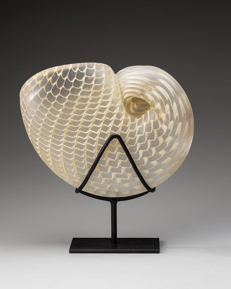 „Goldene Nautilus“ Eine elegante und komplizierte goldene Nautilus-Muschelglas-Skulptur aus Gold (Zeitgenössisch), Sculpture, von Treg Silkwood