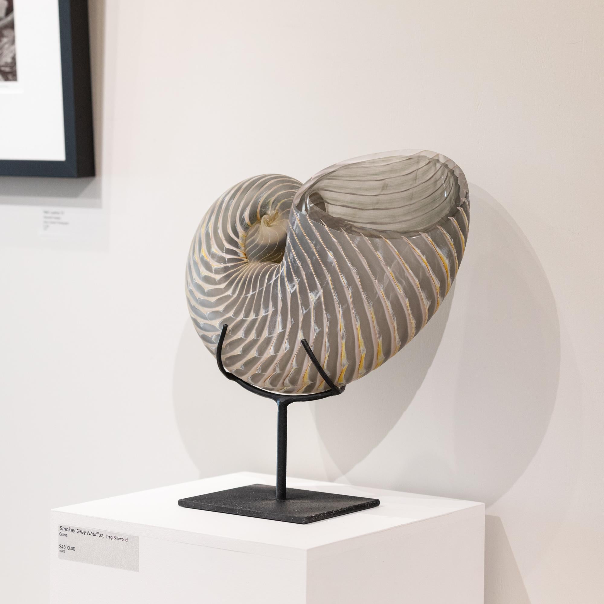 „Smokey Grey Nautilus“ Eine elegante und komplizierte Nautilus-Muschelglas-Skulptur – Sculpture von Treg Silkwood