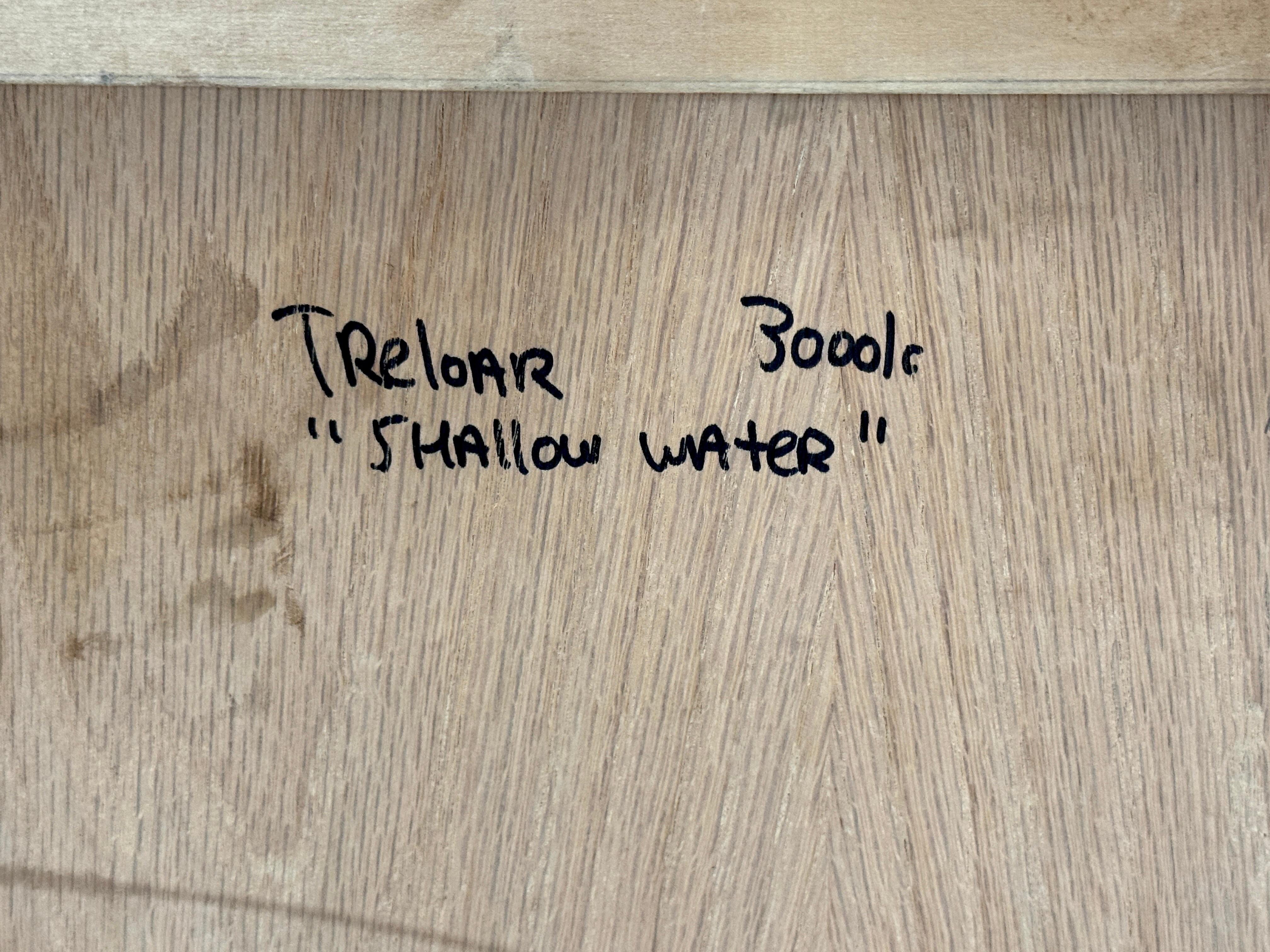 Treloar, Shallow Water, panneau de cuivre patiné au vert-de-gris, A.I.C., 36