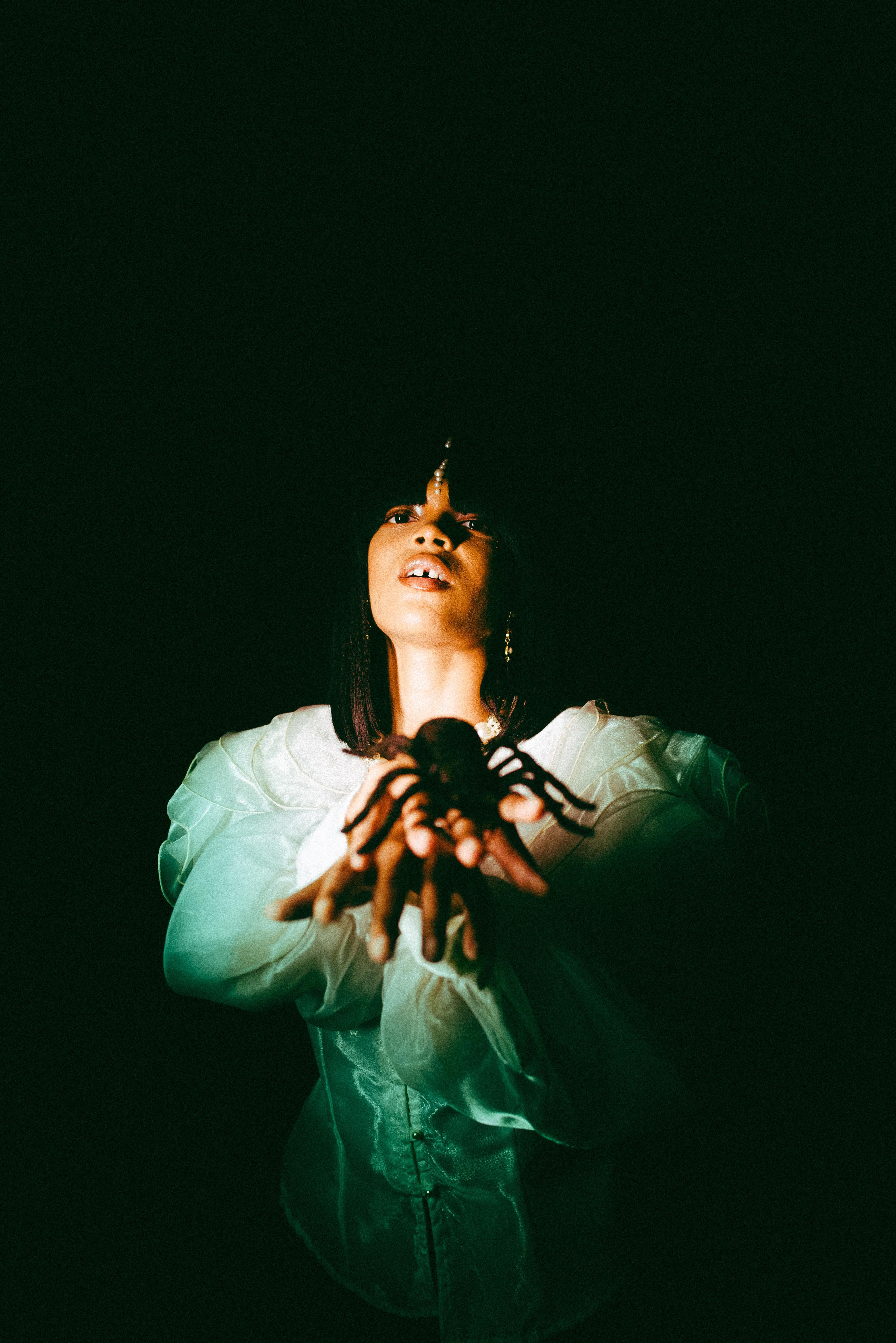 Trenity Thomas Figurative Photograph – Pallidus im Entrodectus-Stil