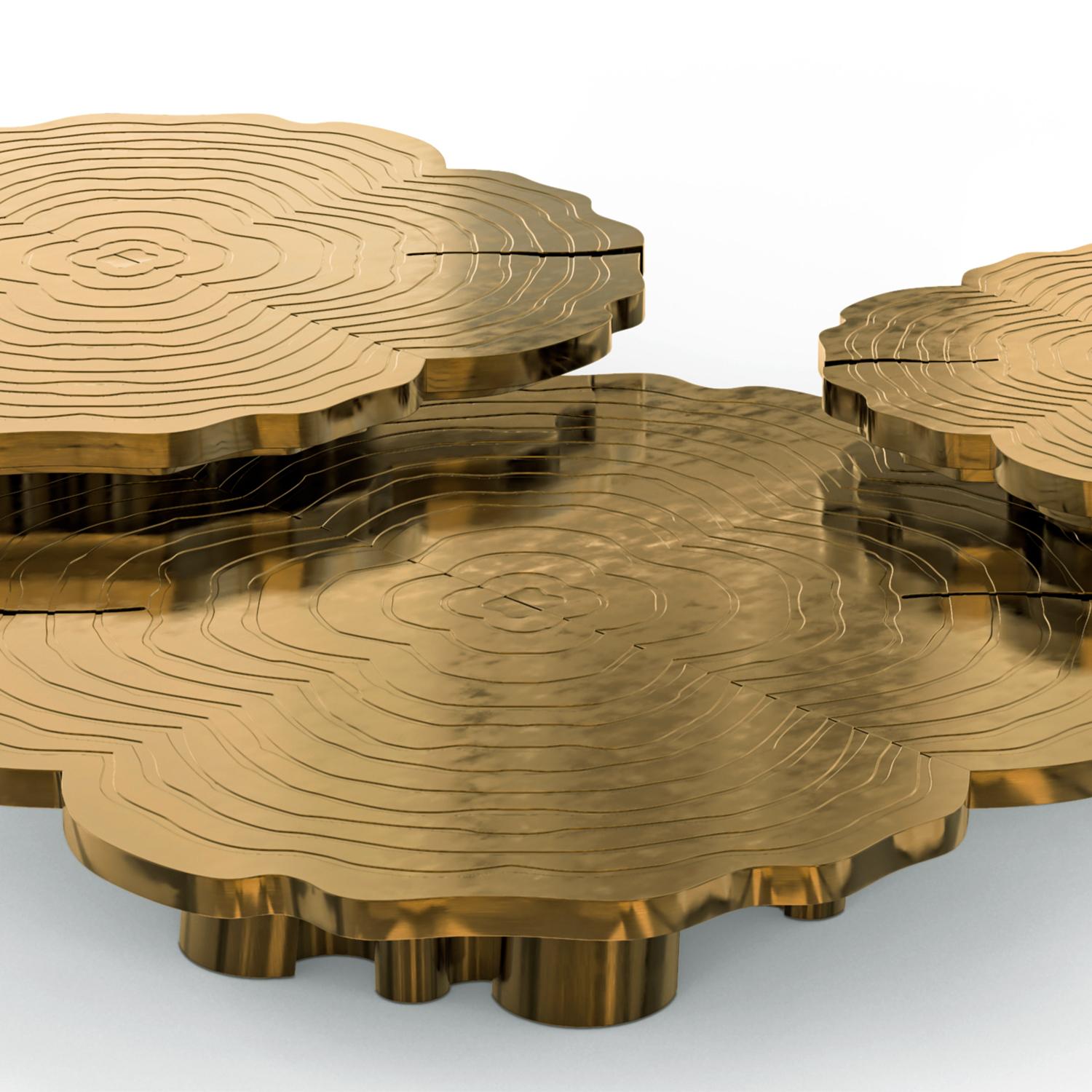 Tresor Patiné Set of 3 Coffee Table en vente 2