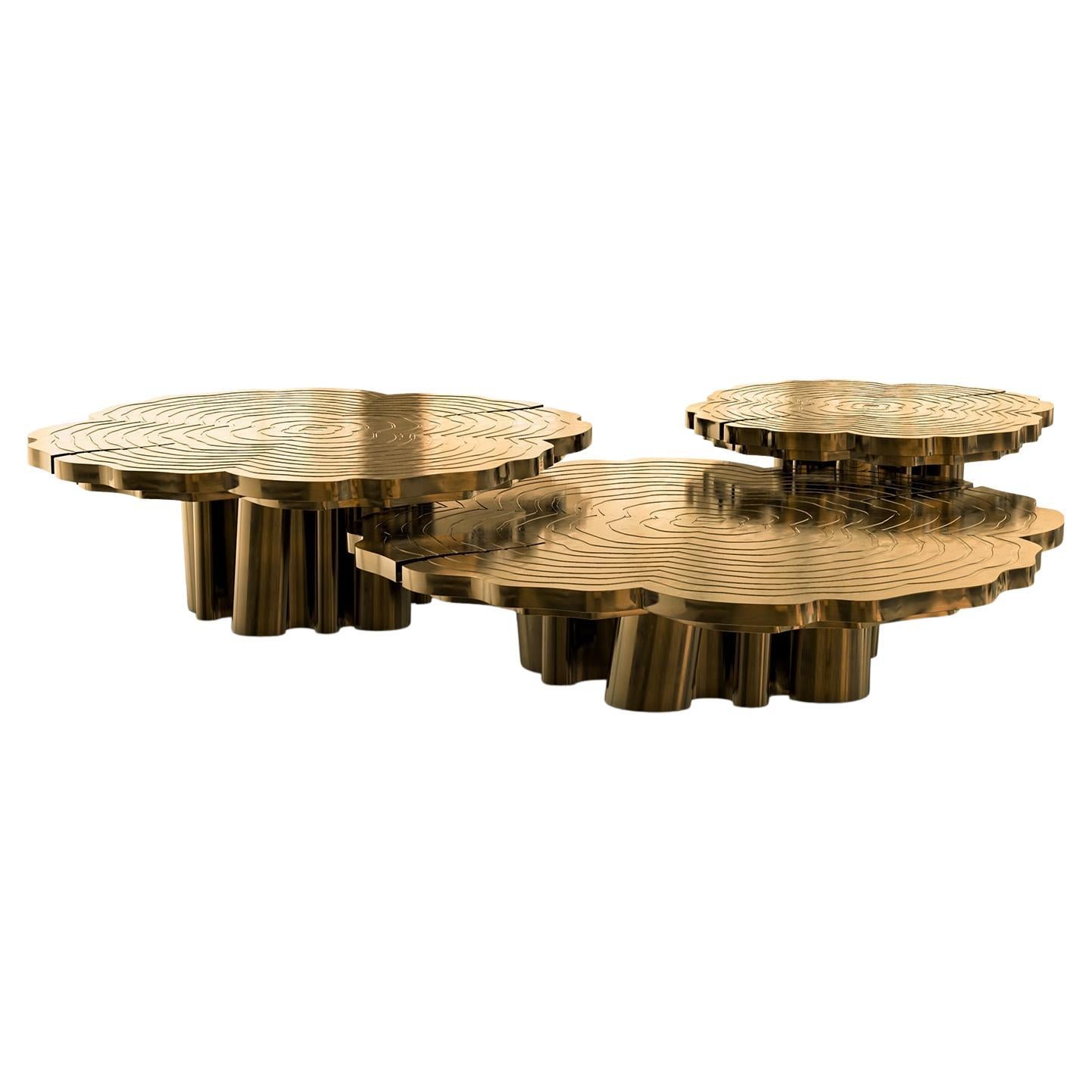 Tresor Patinated Set of 3 Coffee Table For Sale