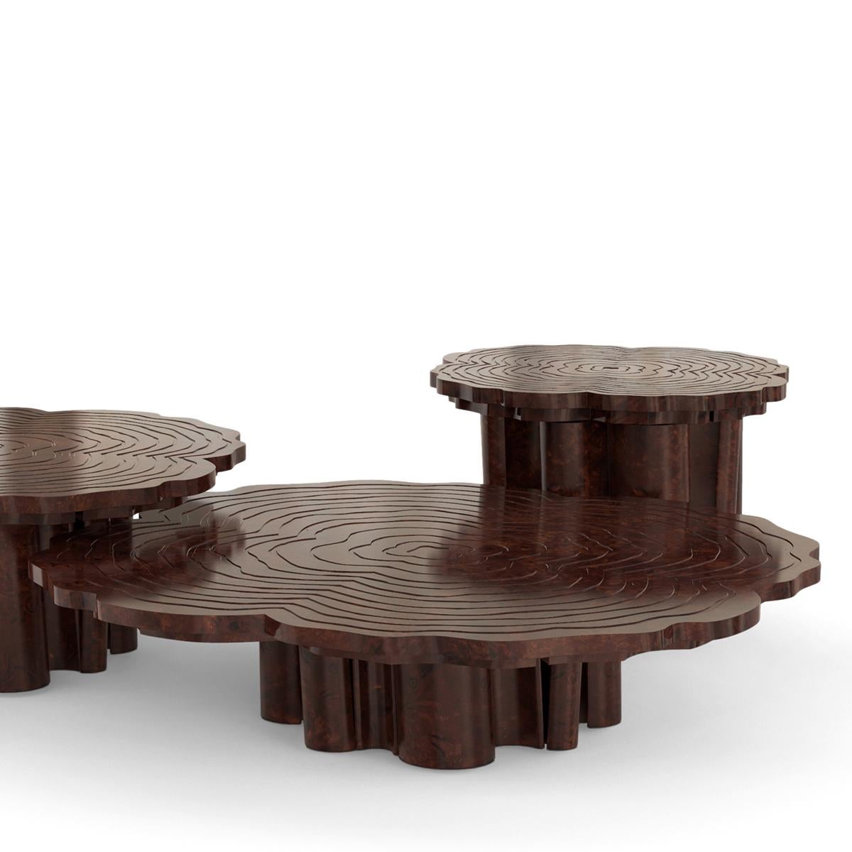 Verni Table basse en noyer Tresor Set of 3 en vente