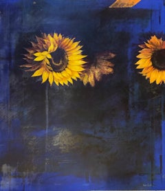 Eclipse  by Trevor Southey