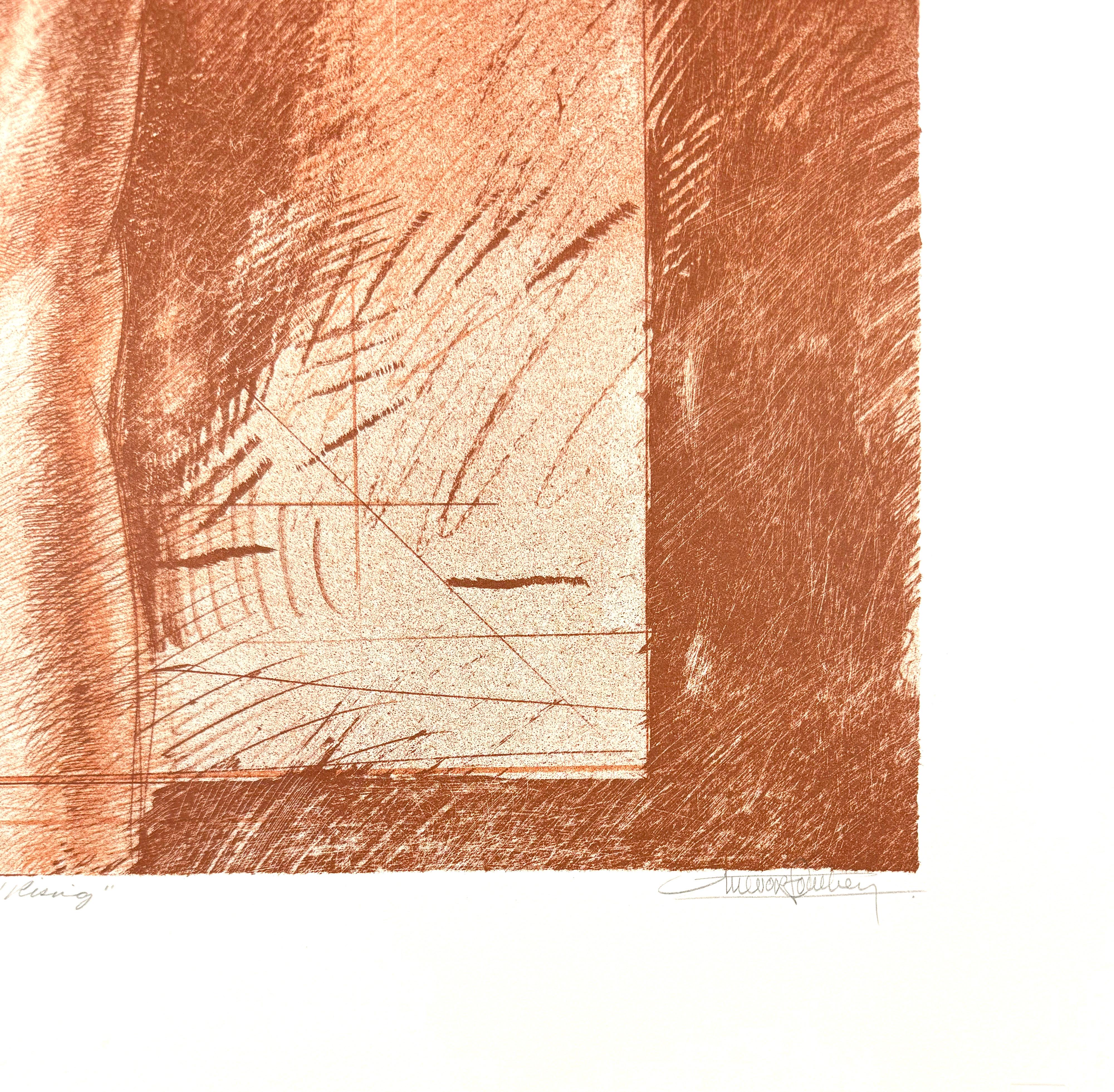 Rising, male nude lithograph by Trevor Southey For Sale 3