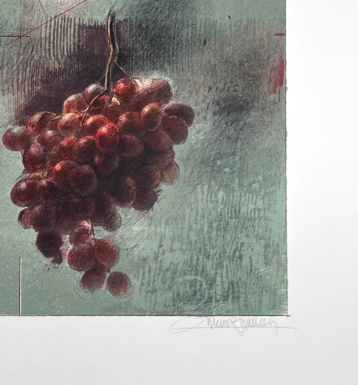 Vine, lithograph by Trevor Southey For Sale 1