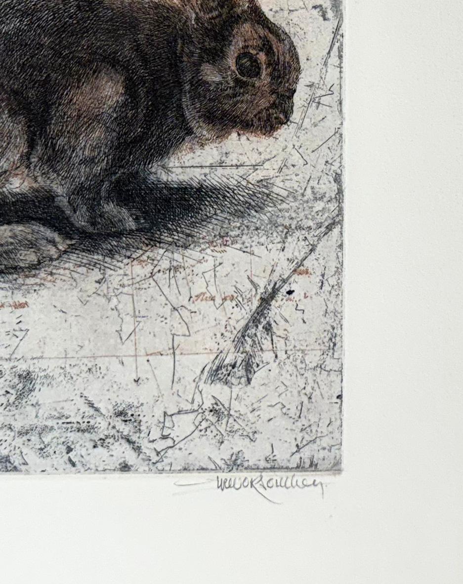 Young Rabbit, by Trevor Southey For Sale 3