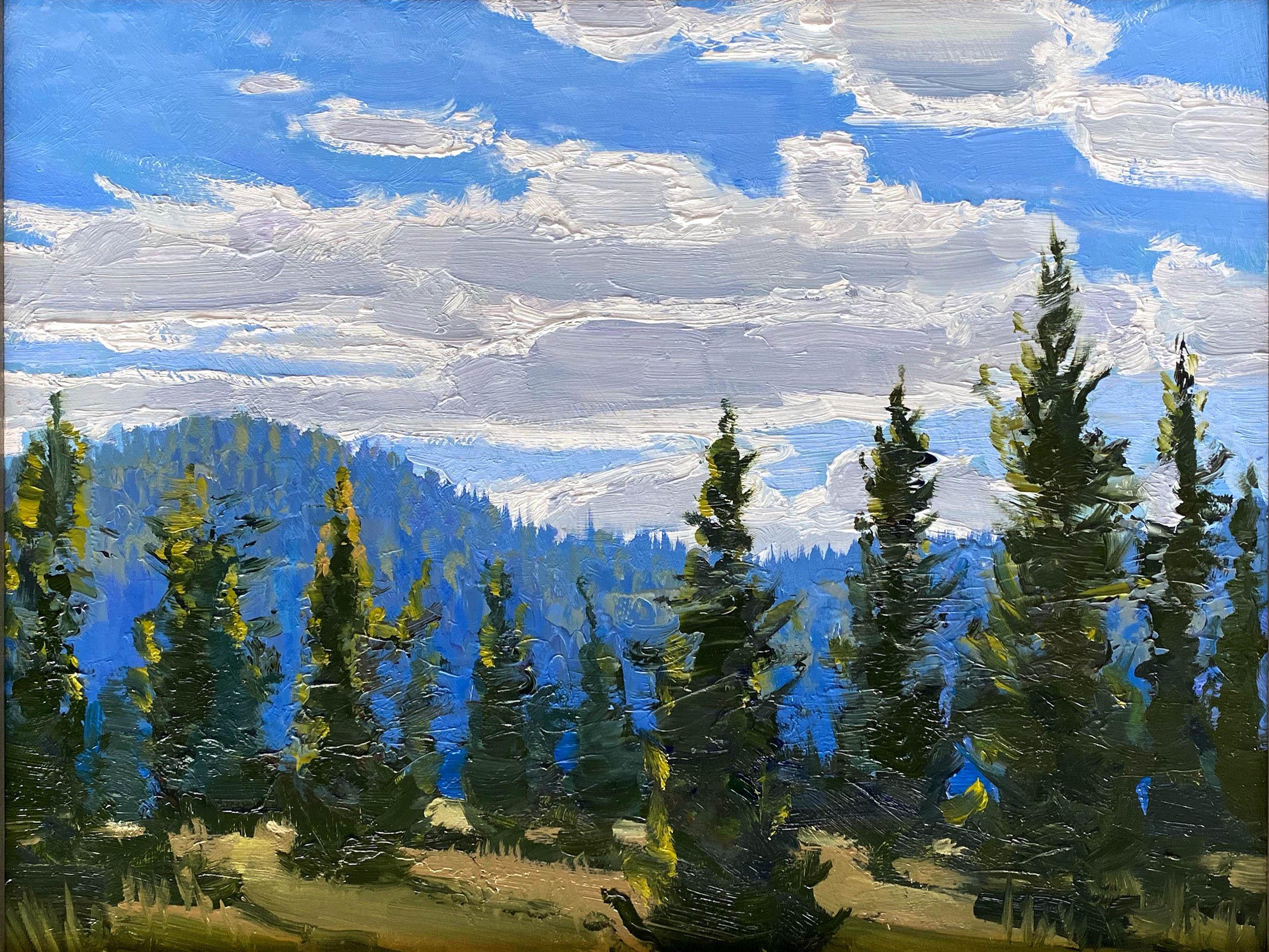 Rocky Mountain High Trey McCarley Impressionista Primavera Paesaggio Pittura ad olio in vendita 1