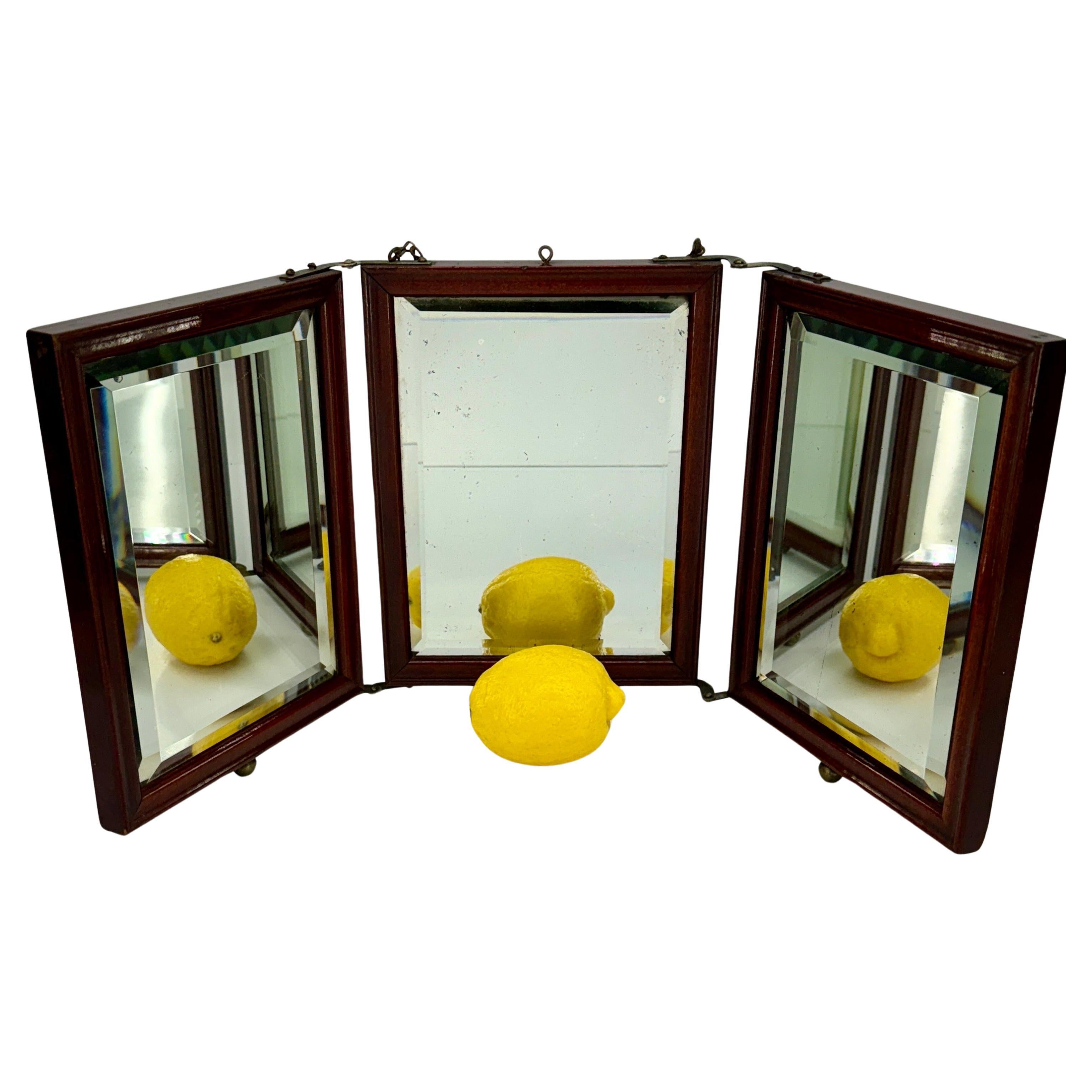 Dreifach gefalteter Reise- oder Ankleidespiegel mit abgeschrägtem Glas. 
Der Spiegel kann frei stehen oder so an die Wand gehängt werden, dass die beiden seitlichen Spiegelflächen beweglich bleiben. 