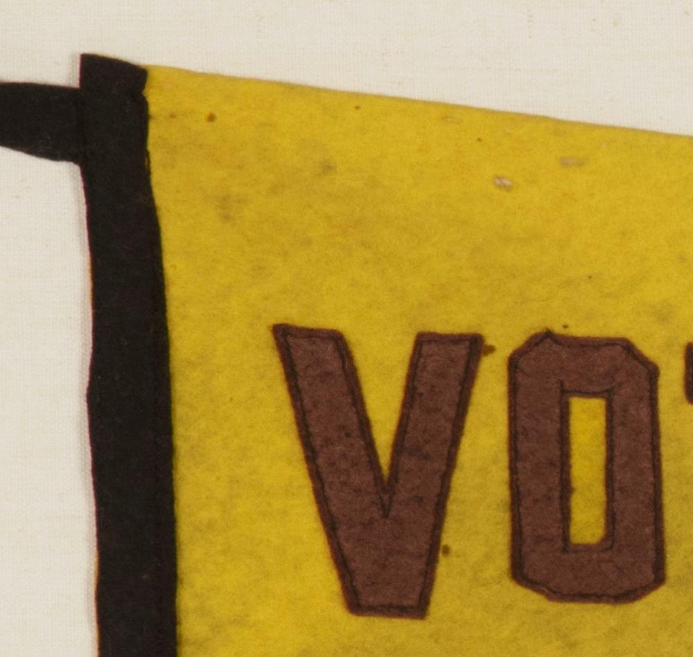 votes for women sign