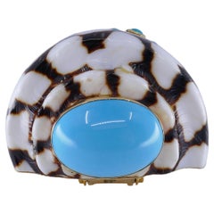 Trianon Shell Gold Brooch with Turquoise