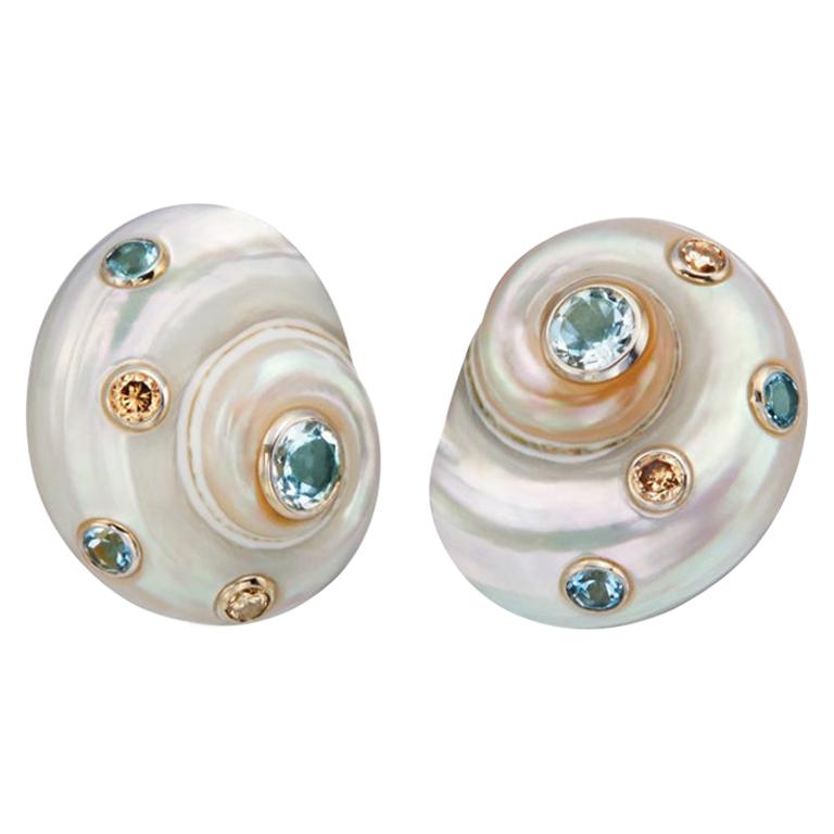 Trianon Umbonium 18 Karat White Gold and Aquamarine and Brown Diamond Earrings