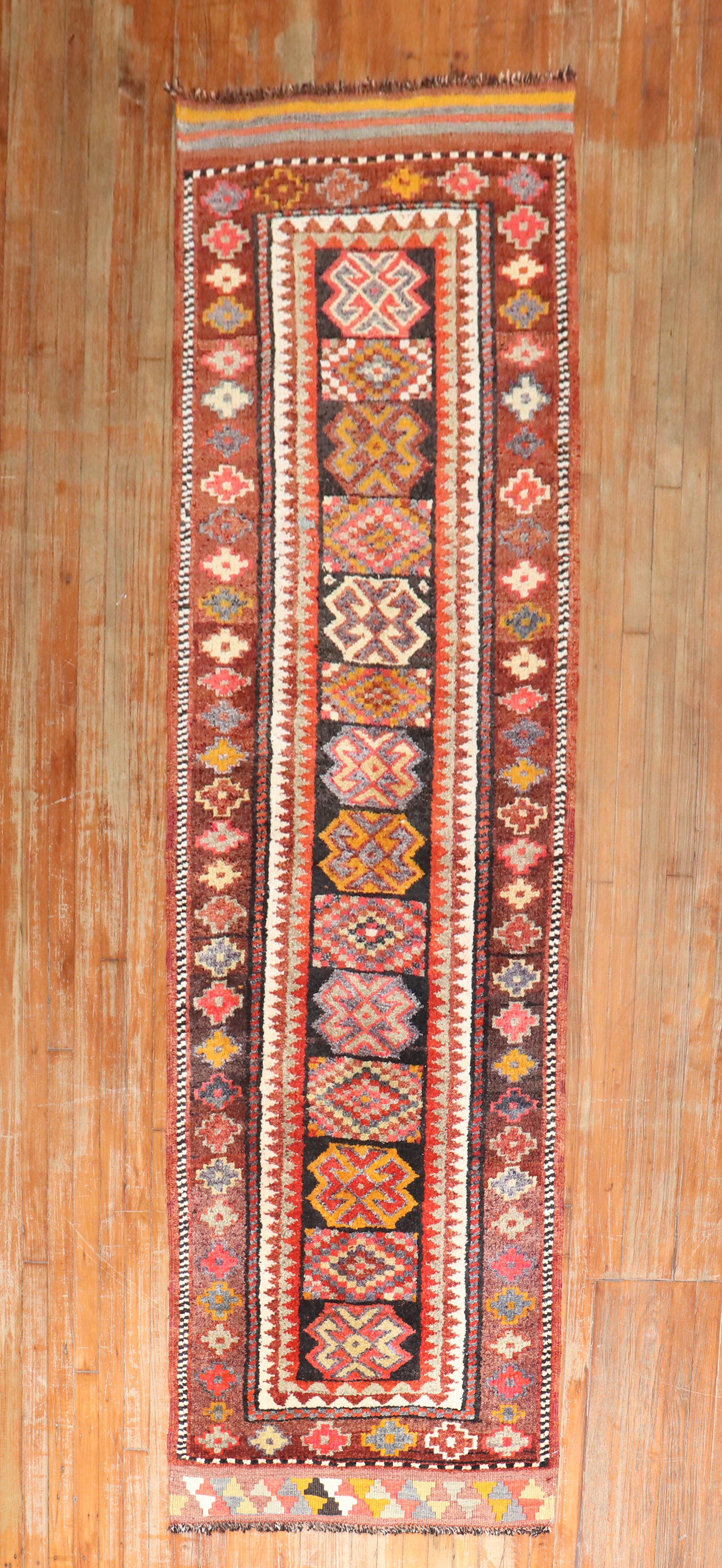 Tribal Turkish Geometric runner from the middle of the 20th century.

Measures: 2'10'' x 10'3''.