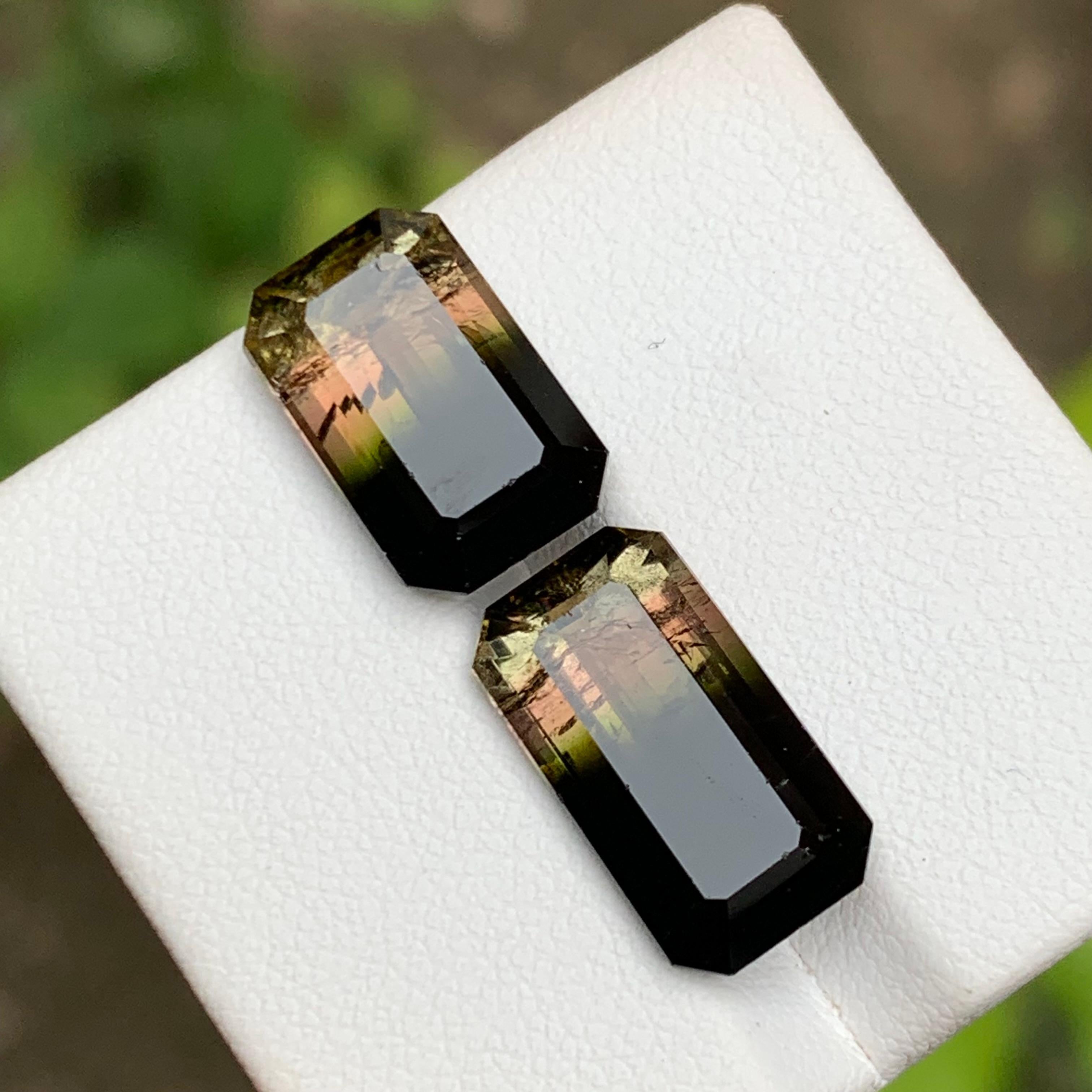 Pierres précieuses tourmaline naturelle tricolore taille émeraude 11.95 carats  Boucles d'oreilles, Bijoux en vente 4