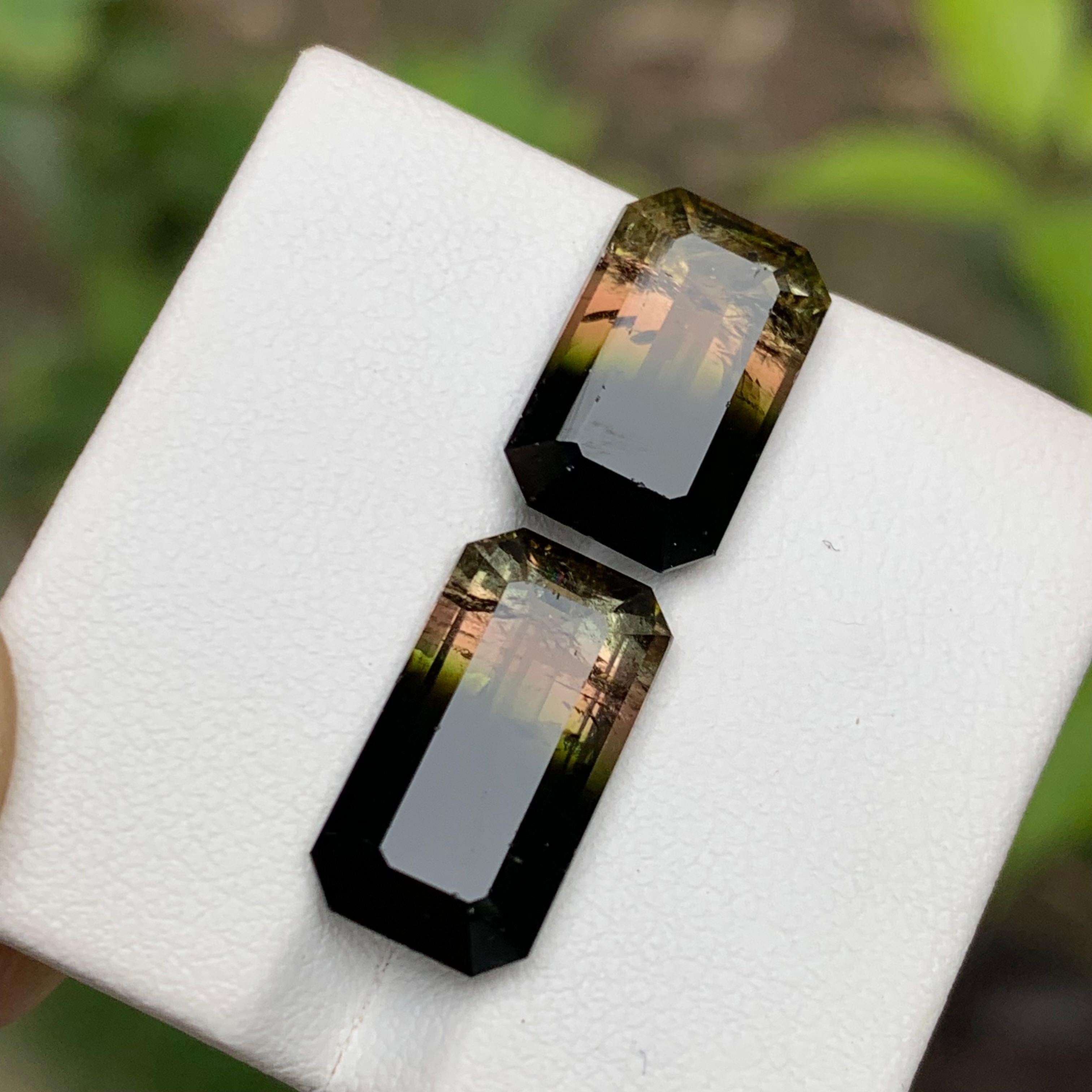 Pierres précieuses tourmaline naturelle tricolore taille émeraude 11.95 carats  Boucles d'oreilles, Bijoux en vente 5