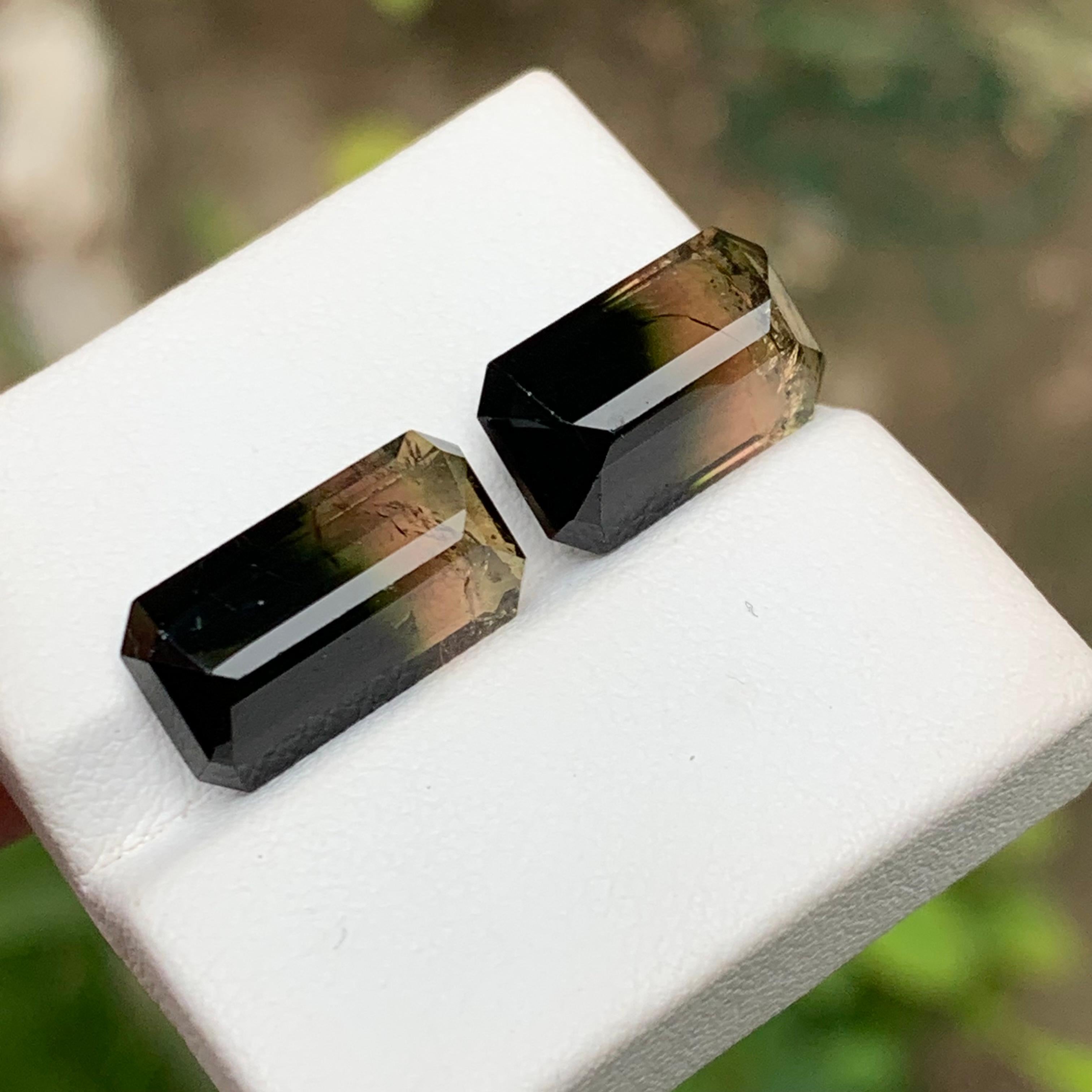Pierres précieuses tourmaline naturelle tricolore taille émeraude 11.95 carats  Boucles d'oreilles, Bijoux en vente 1