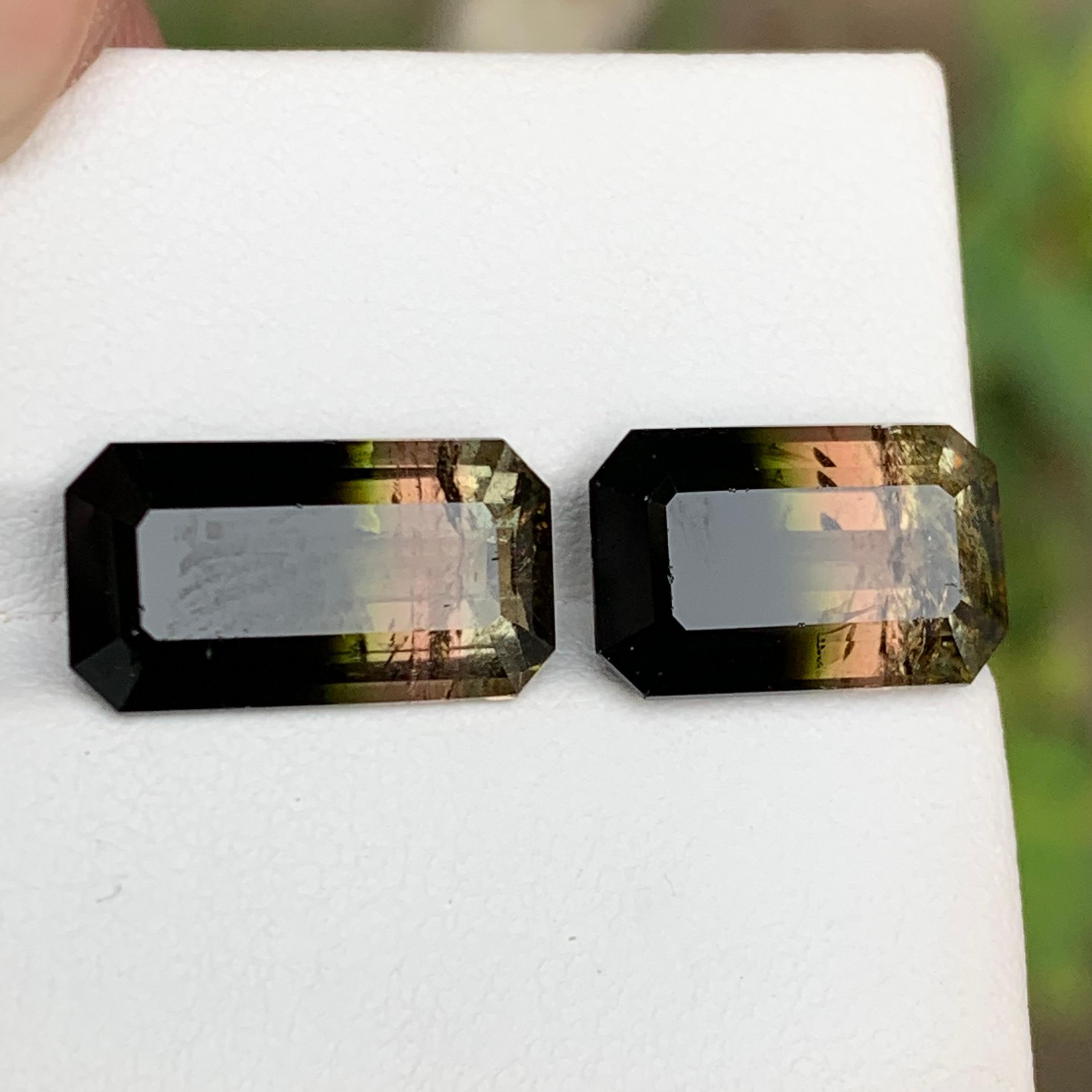 Pierres précieuses tourmaline naturelle tricolore taille émeraude 11.95 carats  Boucles d'oreilles, Bijoux en vente 2