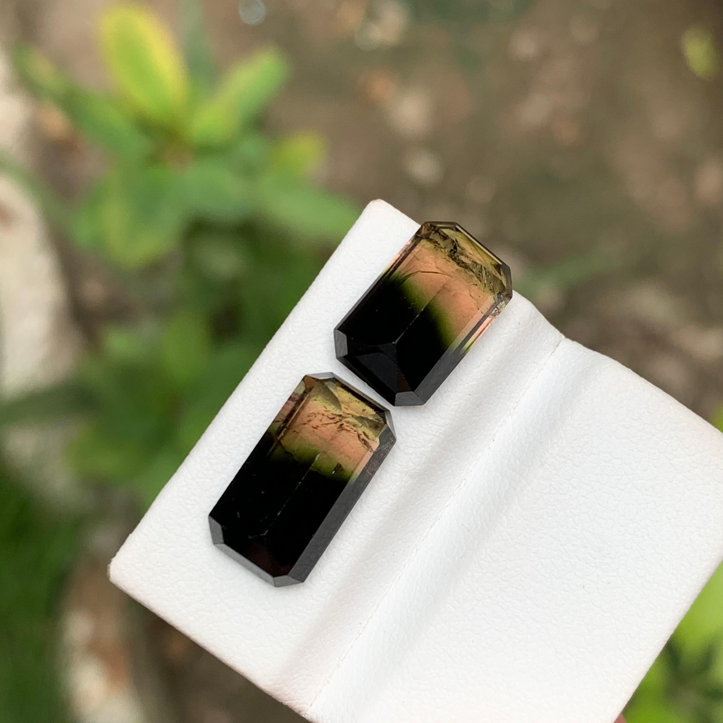 Pierres précieuses tourmaline naturelle tricolore taille émeraude 11.95 carats  Boucles d'oreilles, Bijoux en vente 3