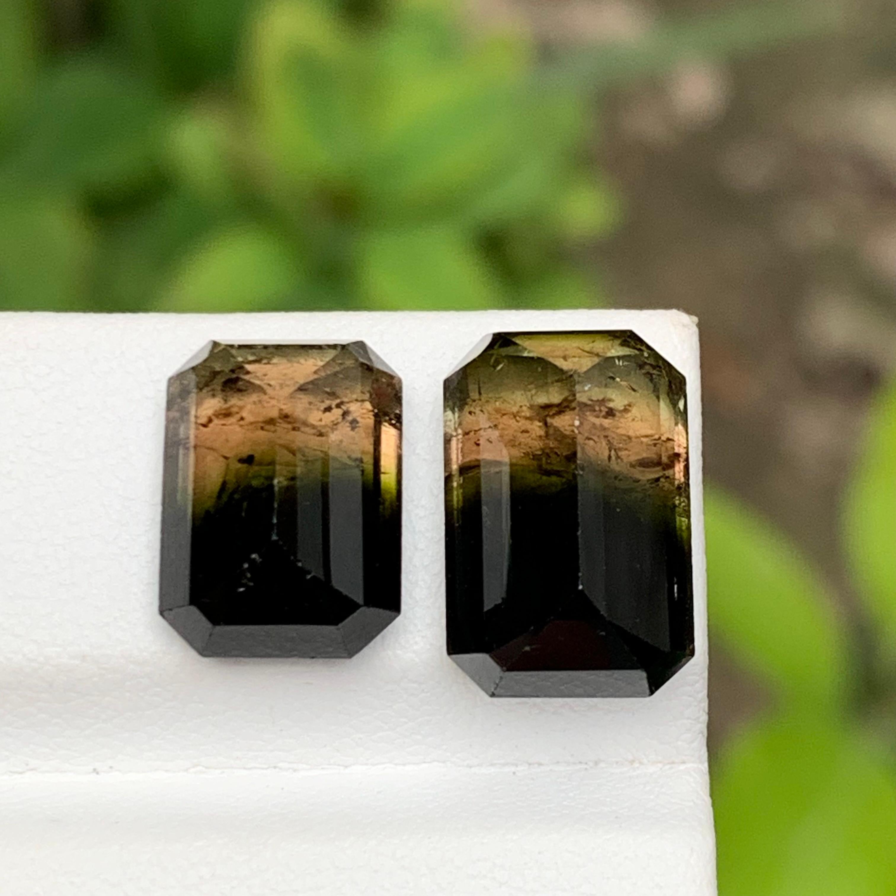 Tricolor Turmalina Natural Piedras Preciosas 15.90 Ct Corte Esmeralda  Pendientes, Joyas Corte esmeralda en venta