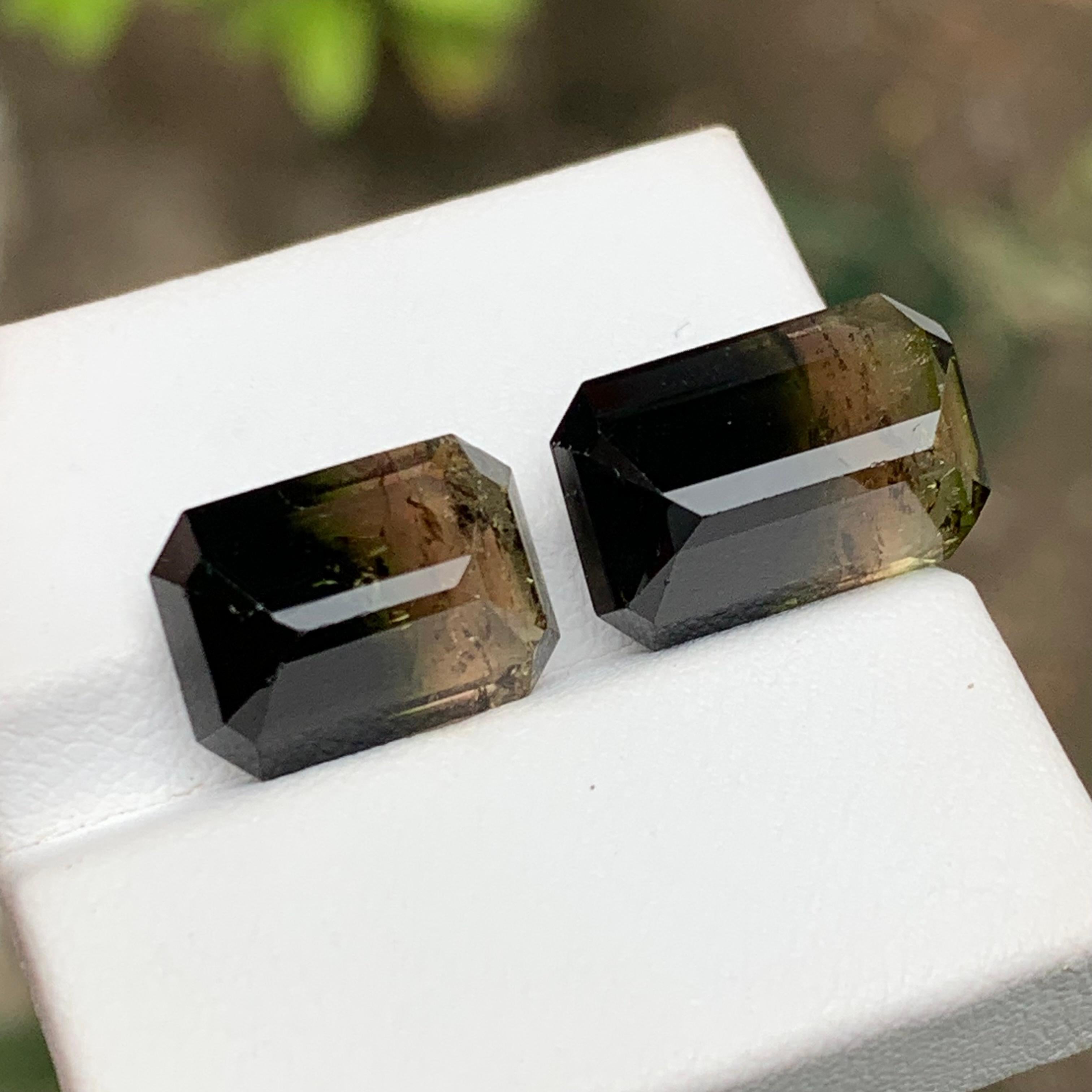 Tricolor Turmalina Natural Piedras Preciosas 15.90 Ct Corte Esmeralda  Pendientes, Joyas en Nuevo estado para la venta en Peshawar, PK