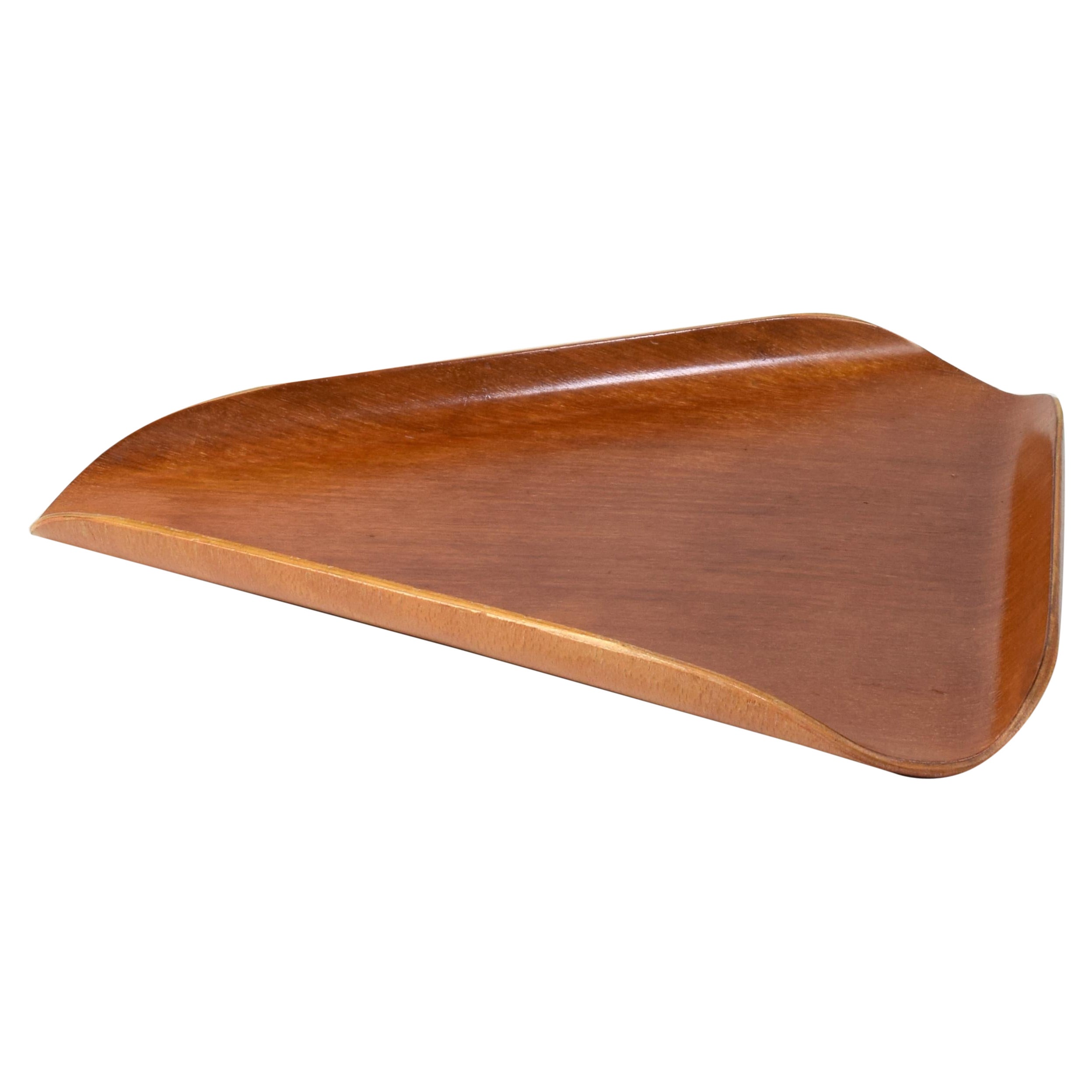 Vassoio 
Tricorne
 di Robin Day for Objects, 1955, super oggetto in compensato di metà secolo