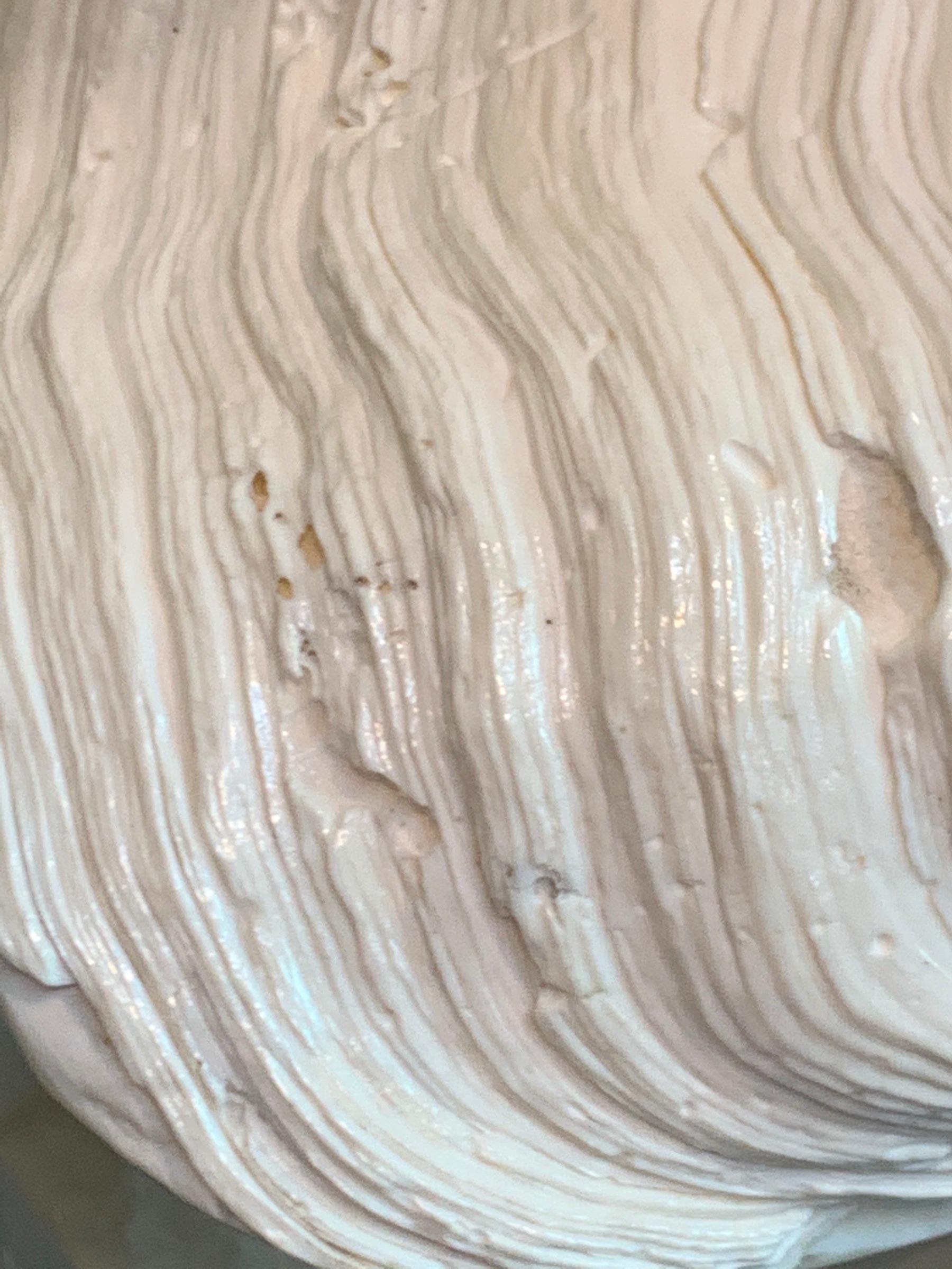 Tridacna Gigas Giant Clamshell, Polished and Sealed For Sale 10