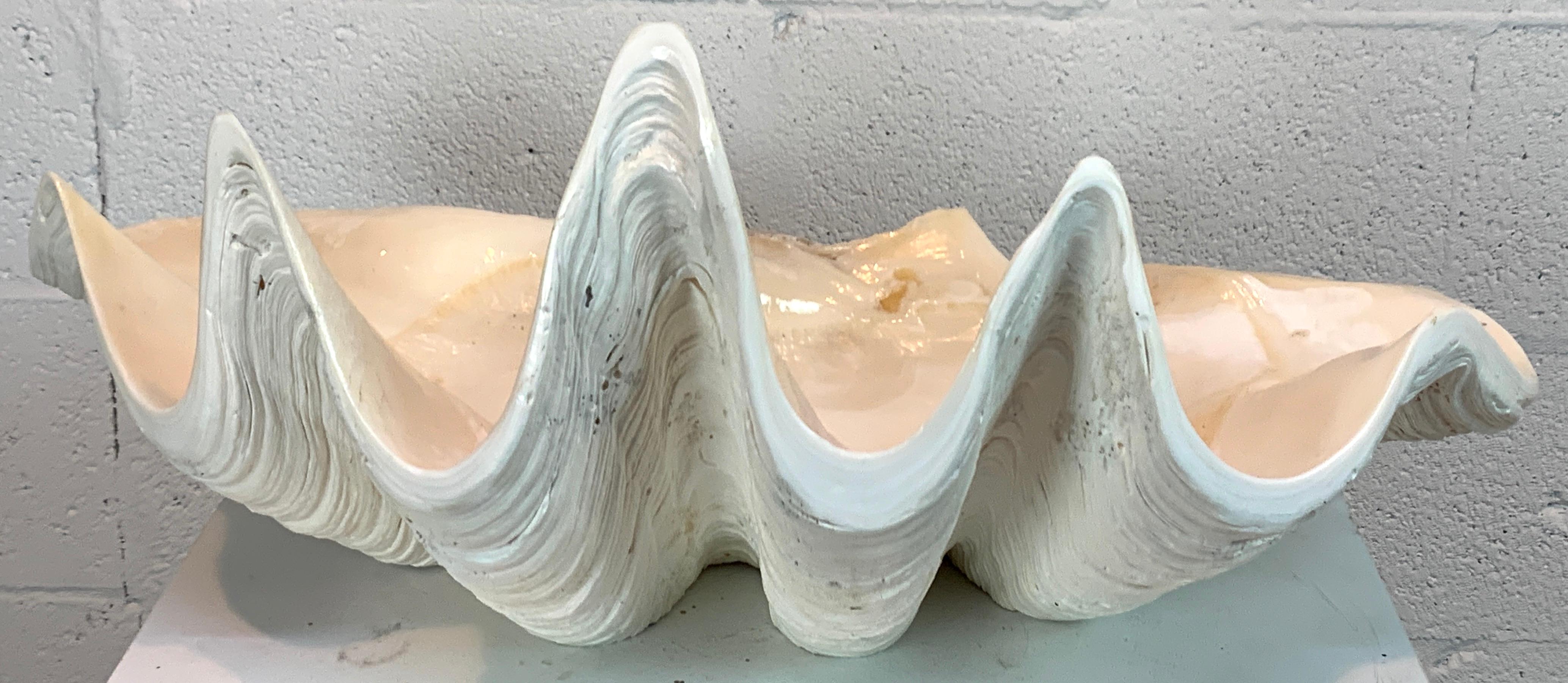 This Tridacna Gigas Giant Clamshell is a breathtaking natural specimen, expertly polished, sealed, and professionally restored to enhance its beauty and functionality. Measuring 21.5 inches wide, 15 inches deep, and 15 inches high, this substantial