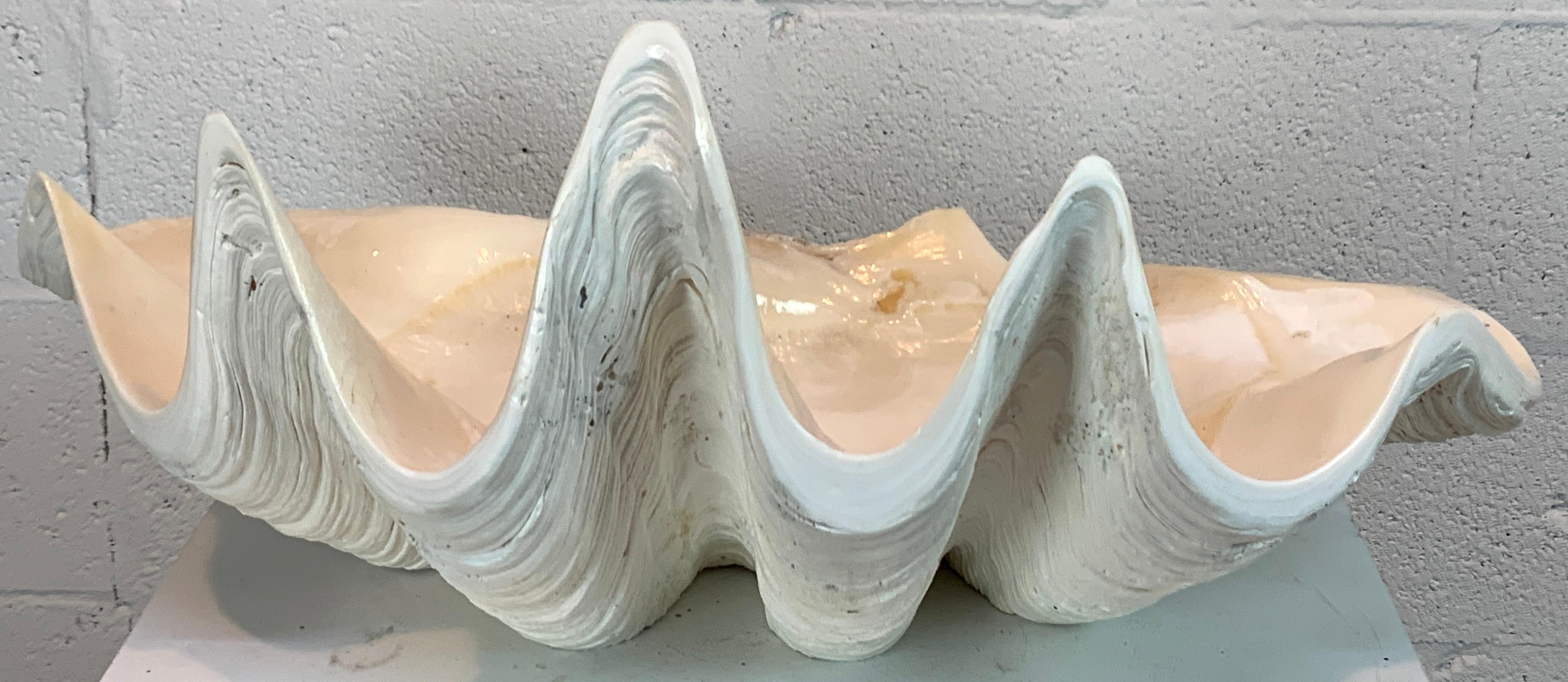 Tridacna Gigas Giant Clamshell, Polished and Sealed For Sale 2