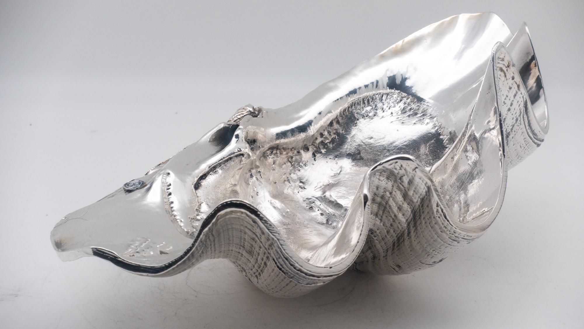 Tridacna silvered resin clam shell 12