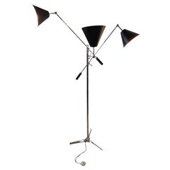 Floor Lamps