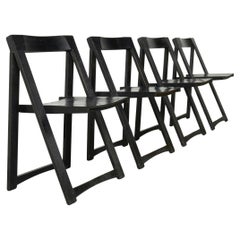 Trieste folding chairs by Aldo Jacober, 1960s