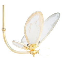 "Trilly" Hanging Lamp Clear Silvered Glass, Brass Body