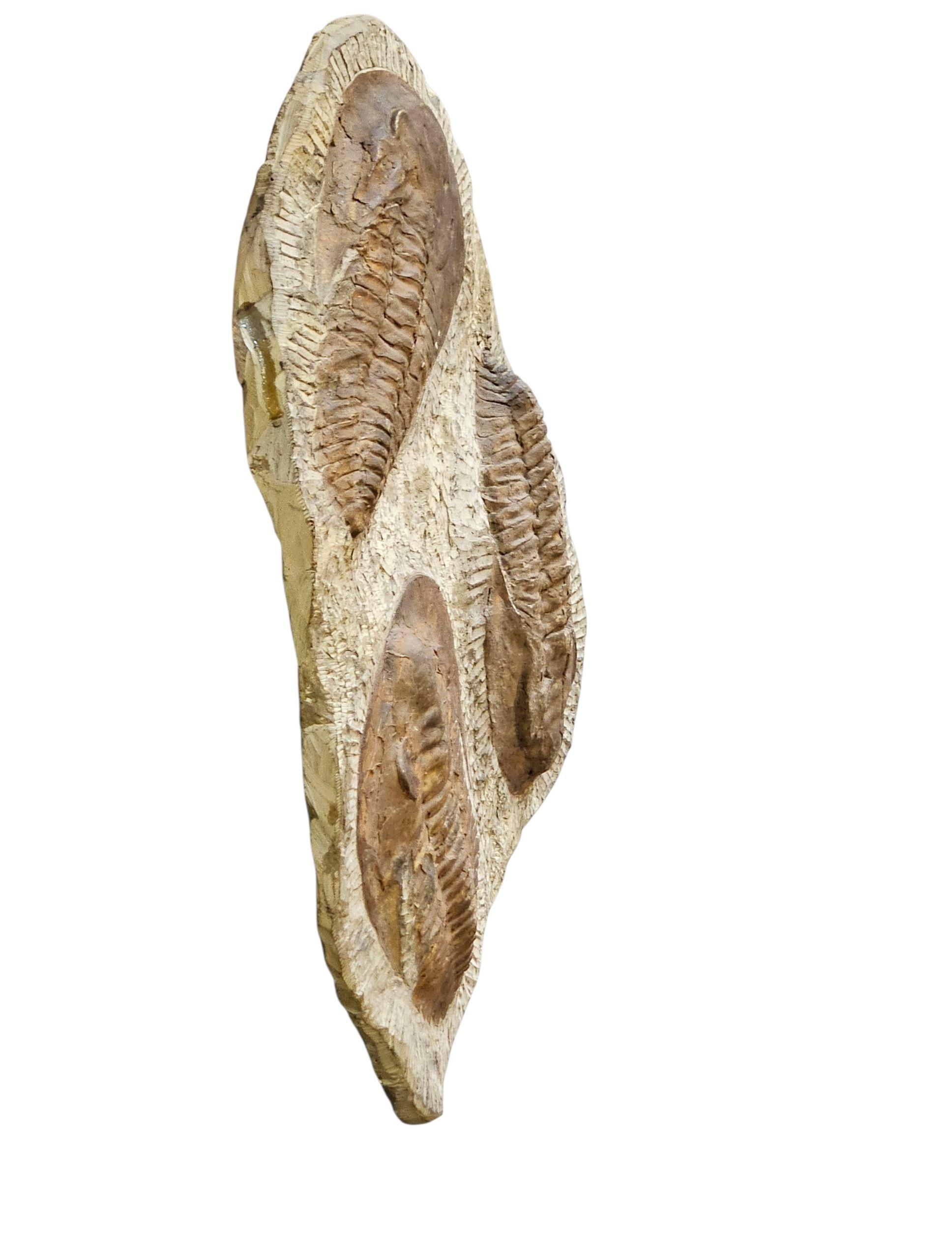 Marocchino Scultura fossile di trilobite in vendita