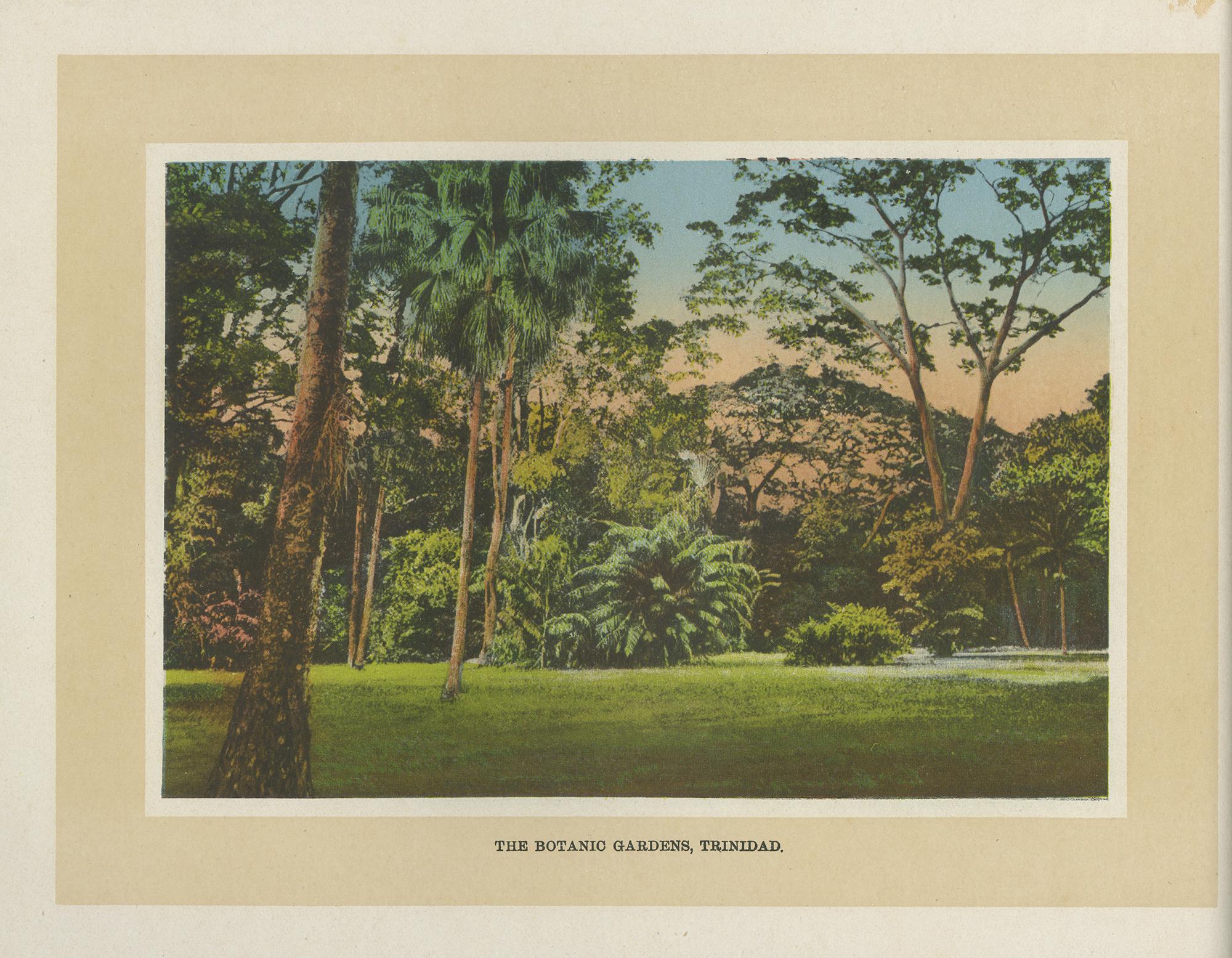 Trinidad, 24 Color Photographs of Port of Spain-Tobago & Island Scenery, c 1930 5