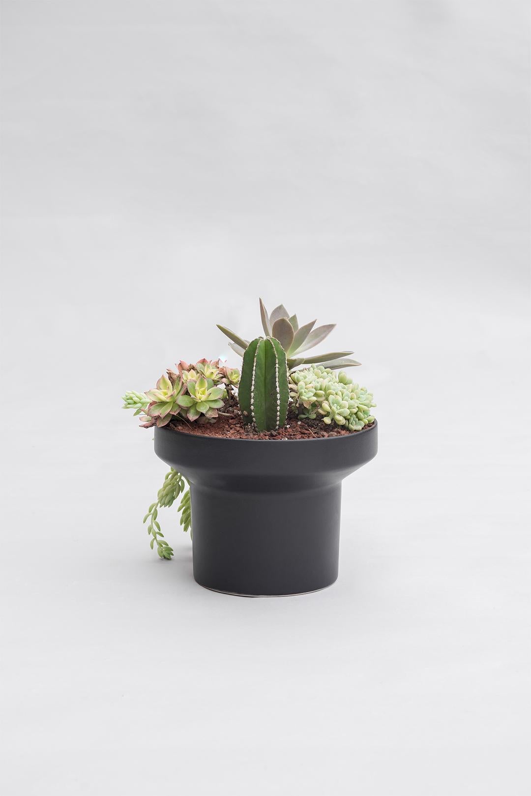 Trinum Medium Pedestal with Ceramic Planters, Contemporary Mexican Design 5