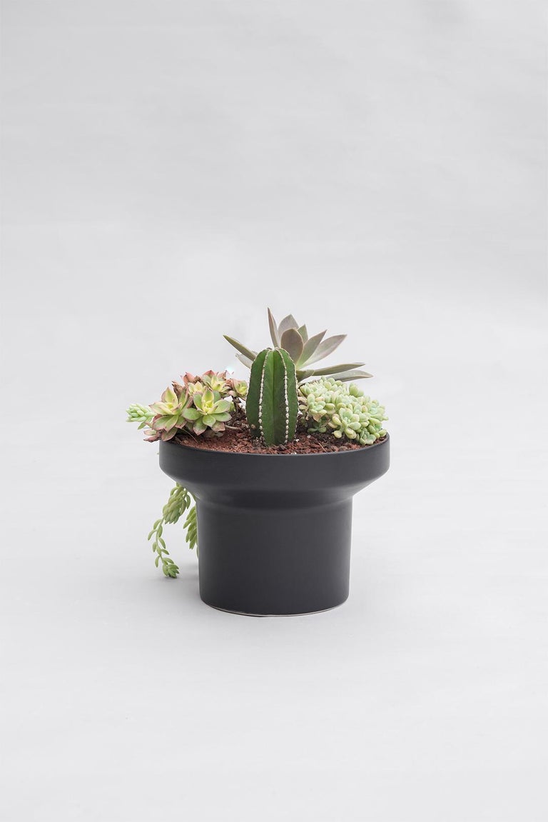 Trinum Medium Pedestal with Ceramic Planters, Contemporary Mexican Design For Sale 5