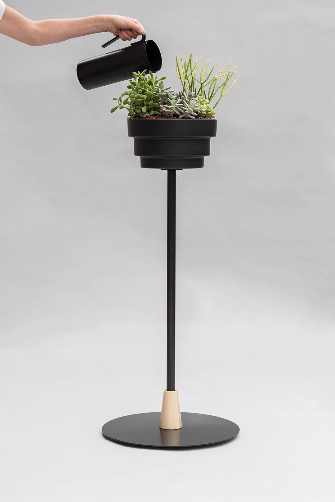 Modern Trinum Medium Pedestal with Ceramic Planters, Contemporary Mexican Design