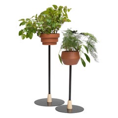 Trinum Medium Pedestal with Ceramic Planters, Contemporary Mexican Design