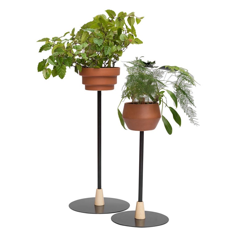 Trinum Medium Pedestal with Ceramic Planters, Contemporary Mexican Design For Sale